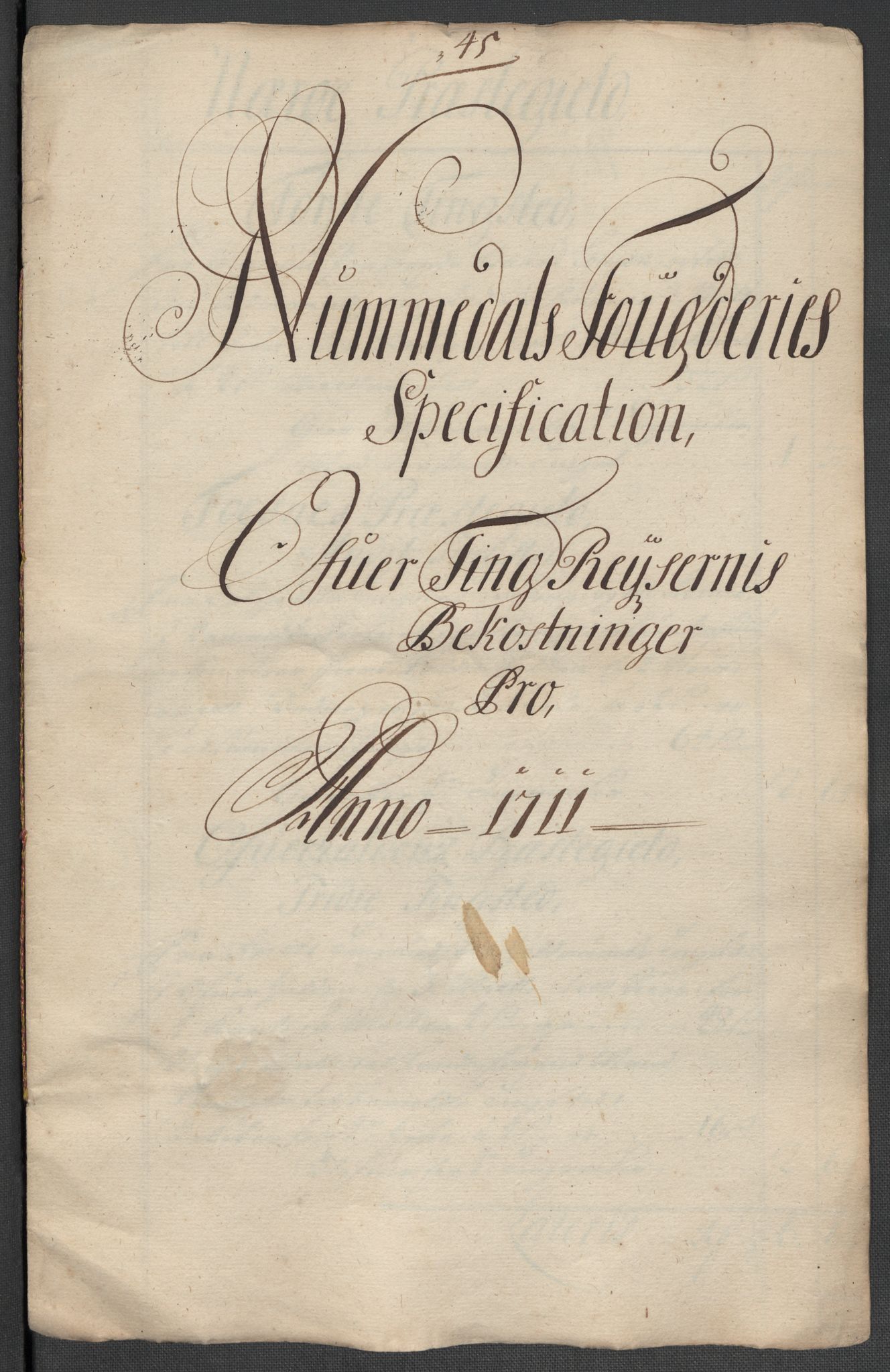 Rentekammeret inntil 1814, Reviderte regnskaper, Fogderegnskap, RA/EA-4092/R64/L4432: Fogderegnskap Namdal, 1711, p. 243