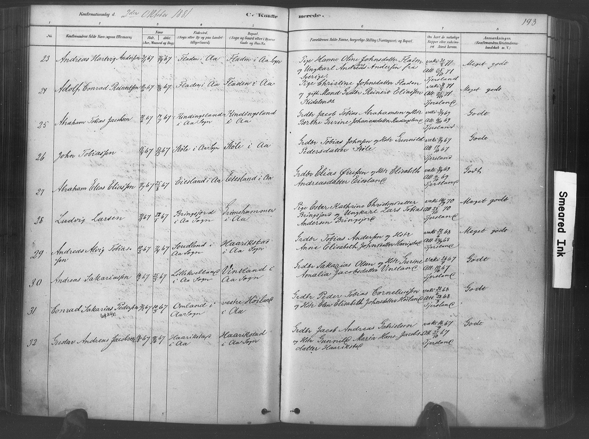 Lyngdal sokneprestkontor, AV/SAK-1111-0029/F/Fa/Fac/L0011: Parish register (official) no. A 11, 1878-1893, p. 193