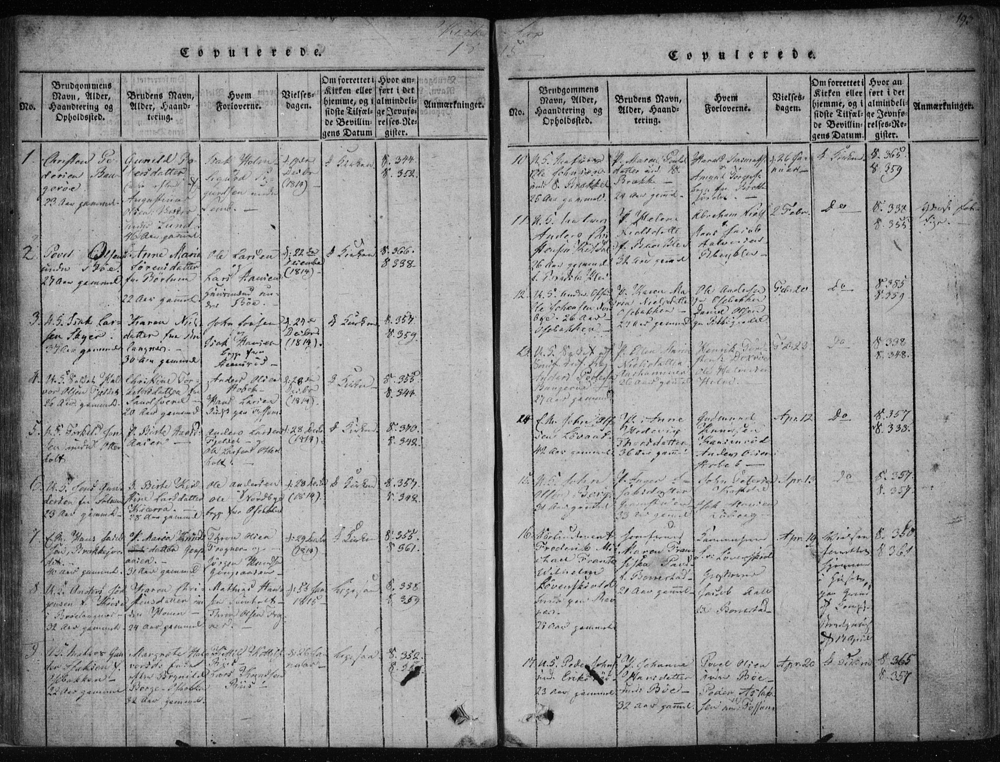 Gjerpen kirkebøker, SAKO/A-265/F/Fa/L0004: Parish register (official) no. I 4, 1814-1823, p. 193