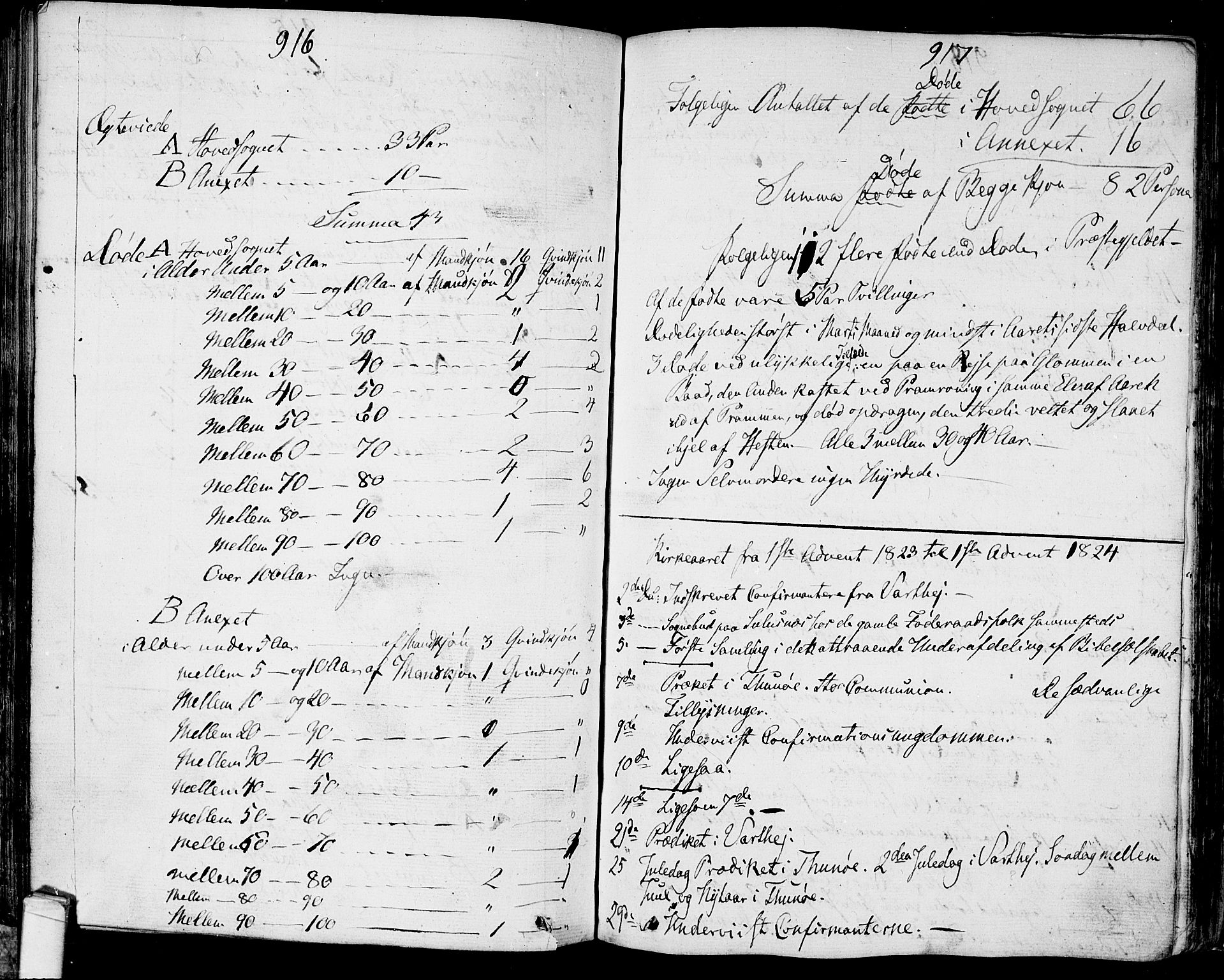 Tune prestekontor Kirkebøker, SAO/A-2007/F/Fa/L0006: Parish register (official) no. 6, 1823-1831, p. 916-917