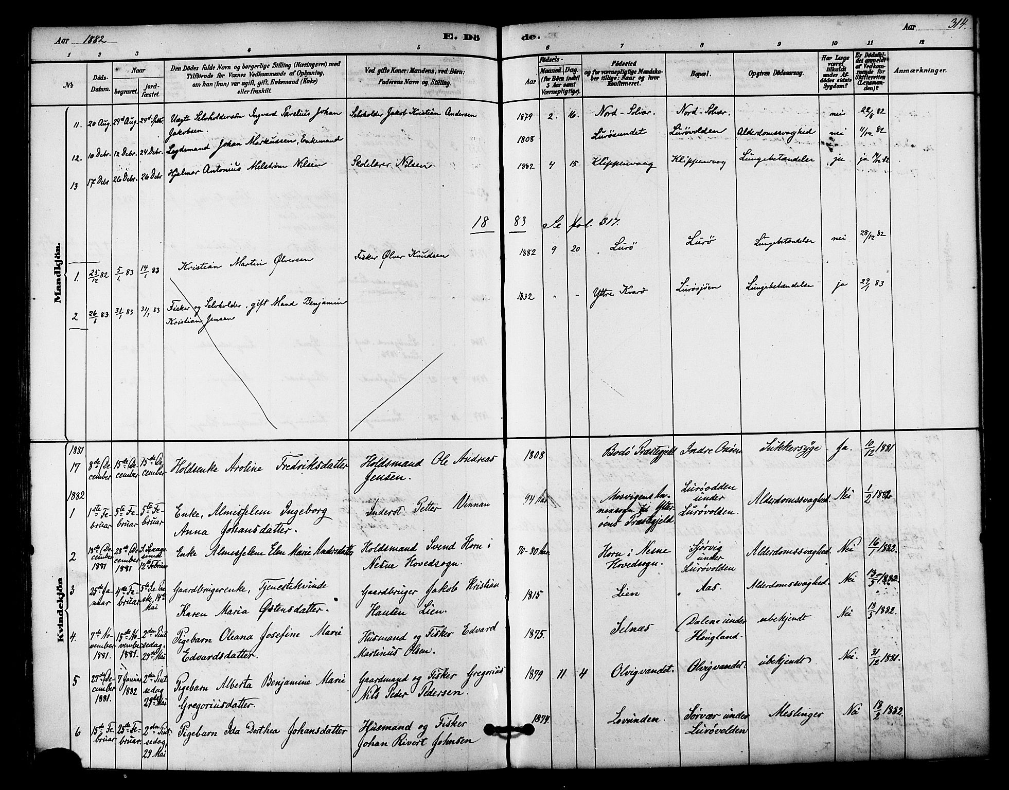 Ministerialprotokoller, klokkerbøker og fødselsregistre - Nordland, SAT/A-1459/839/L0568: Parish register (official) no. 839A05, 1880-1902, p. 314