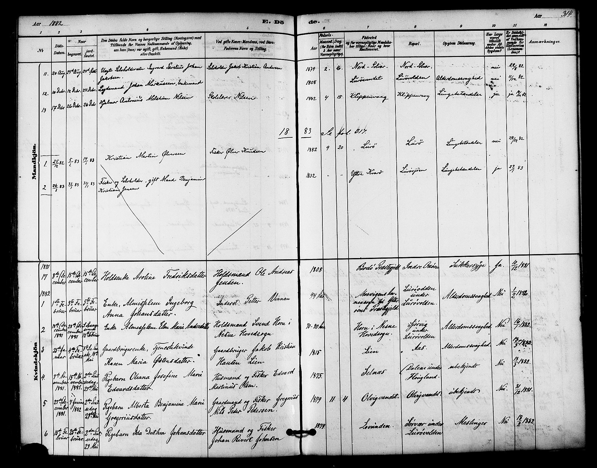 Ministerialprotokoller, klokkerbøker og fødselsregistre - Nordland, AV/SAT-A-1459/839/L0568: Parish register (official) no. 839A05, 1880-1902, p. 314