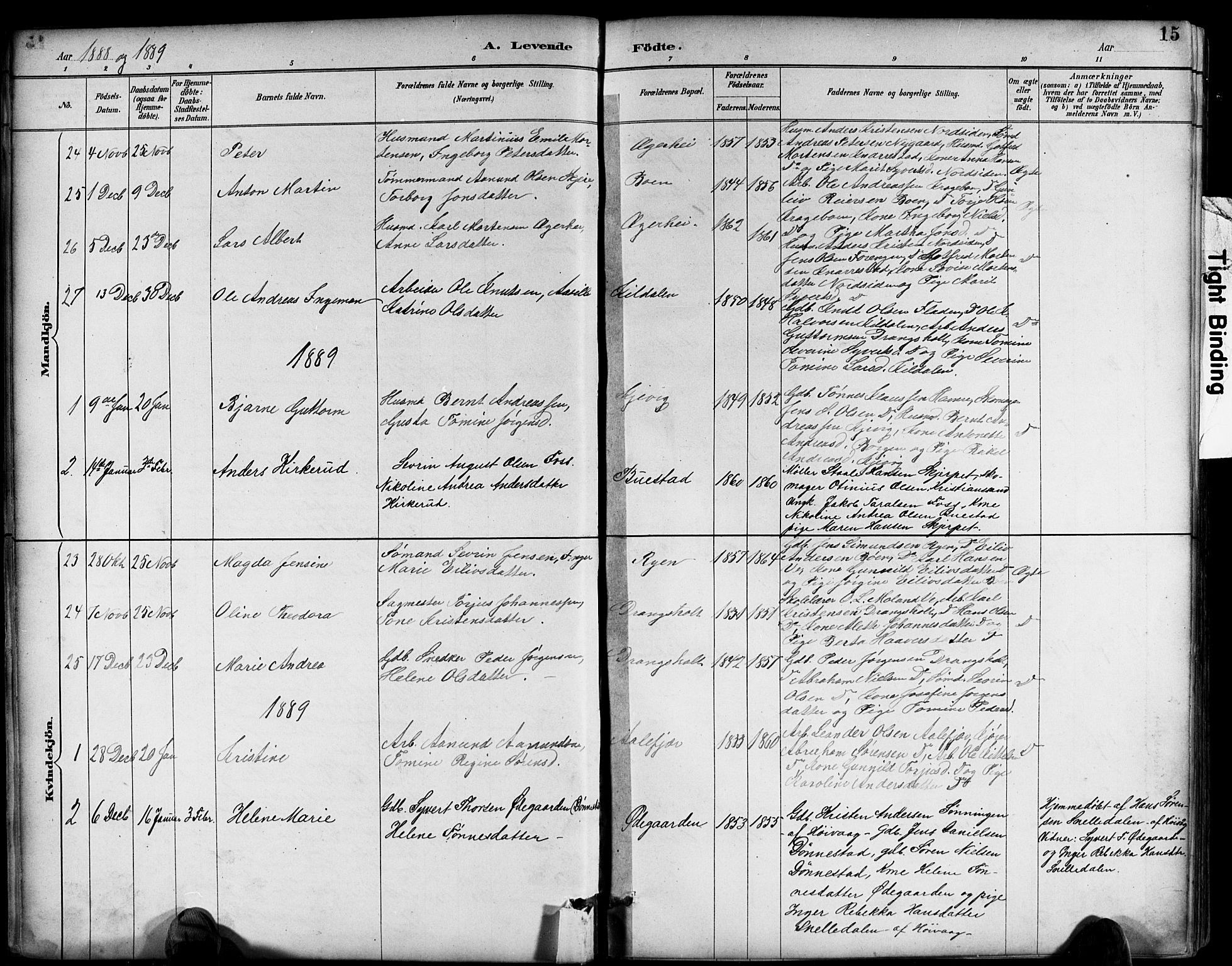 Tveit sokneprestkontor, SAK/1111-0043/F/Fb/L0004: Parish register (copy) no. B 4, 1887-1914, p. 15