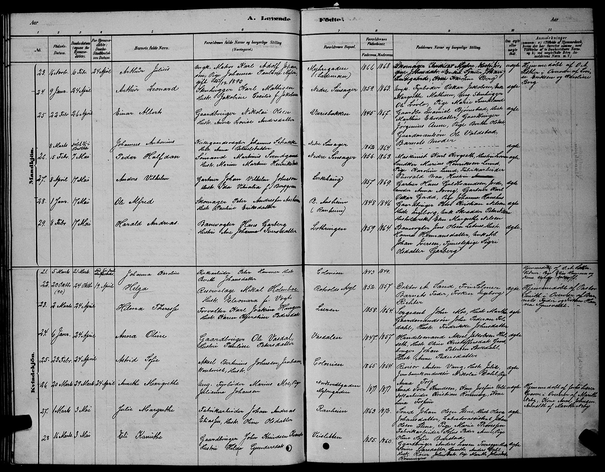 Ministerialprotokoller, klokkerbøker og fødselsregistre - Sør-Trøndelag, AV/SAT-A-1456/606/L0312: Parish register (copy) no. 606C08, 1878-1894