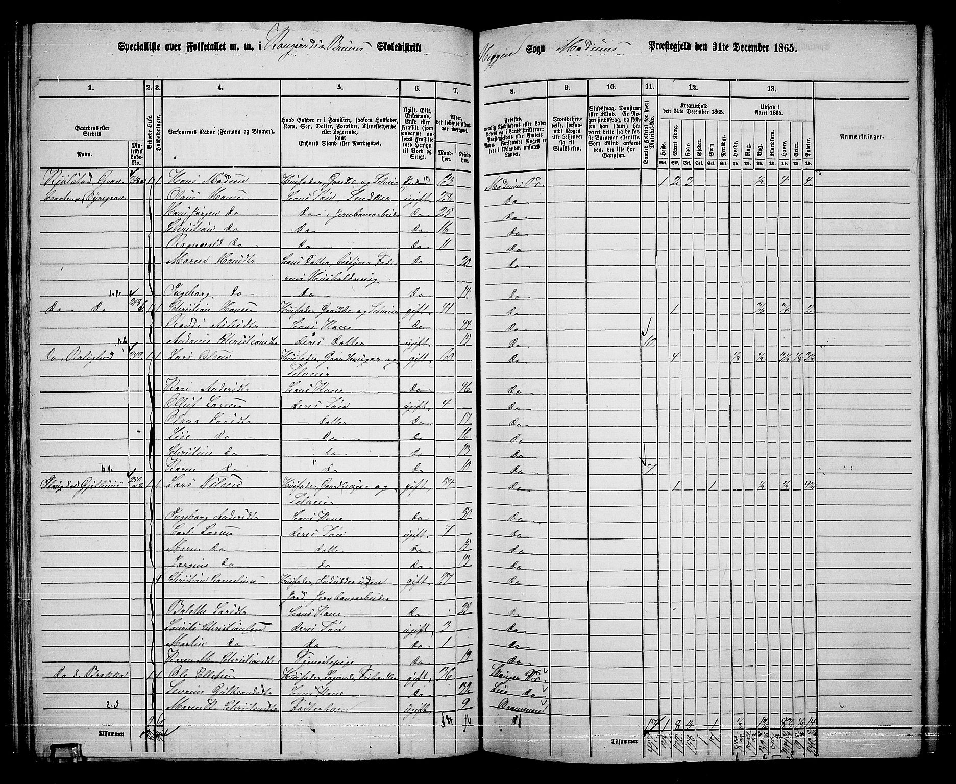 RA, 1865 census for Modum, 1865, p. 150