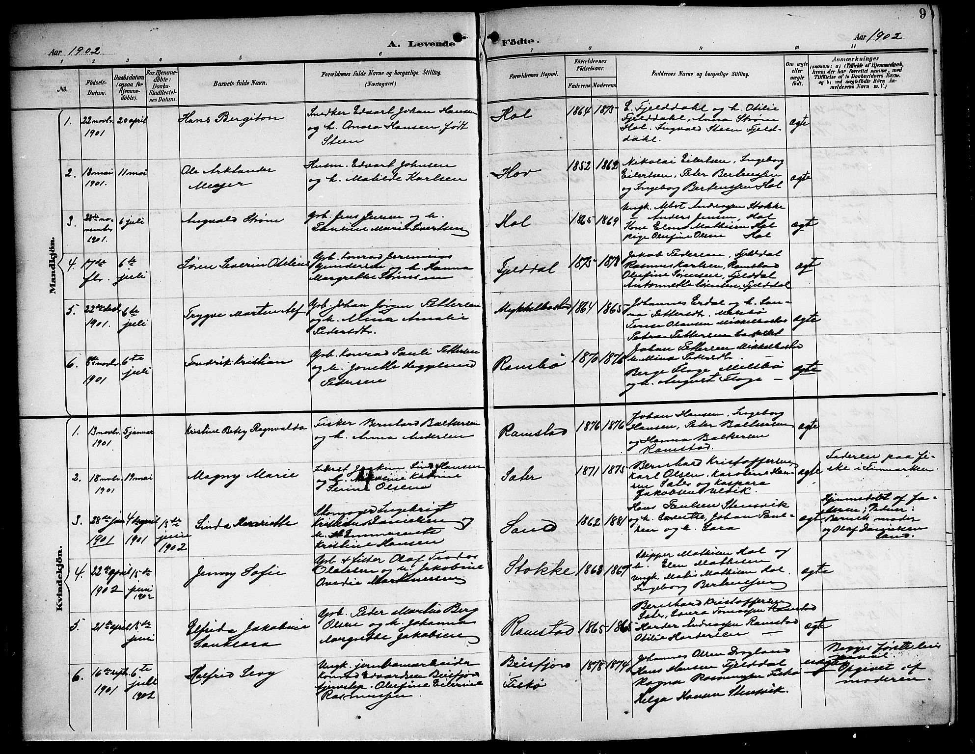 Ministerialprotokoller, klokkerbøker og fødselsregistre - Nordland, AV/SAT-A-1459/865/L0932: Parish register (copy) no. 865C04, 1901-1917, p. 9