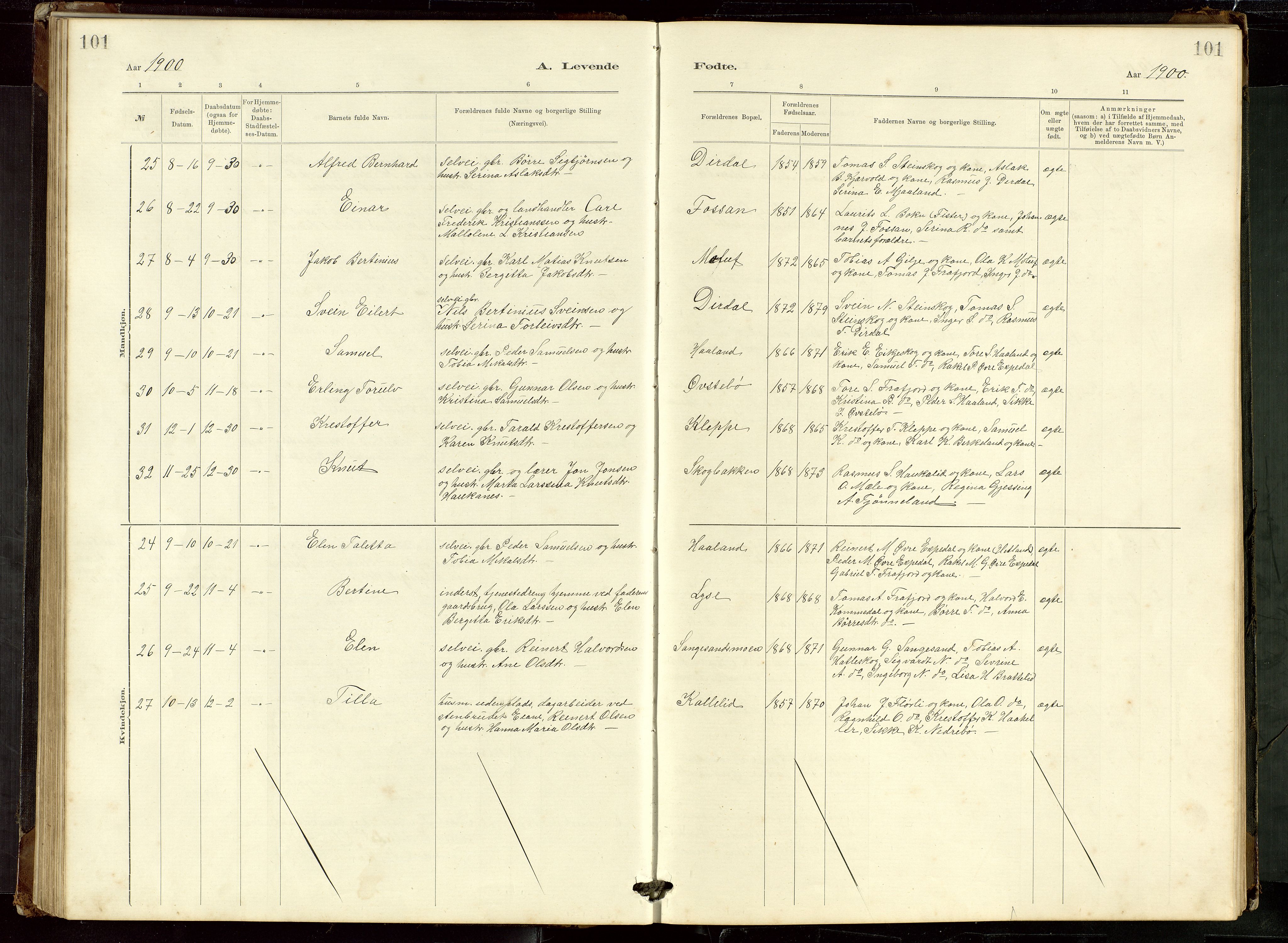 Høgsfjord sokneprestkontor, SAST/A-101624/H/Ha/Hab/L0009: Parish register (copy) no. B 9, 1883-1920, p. 101