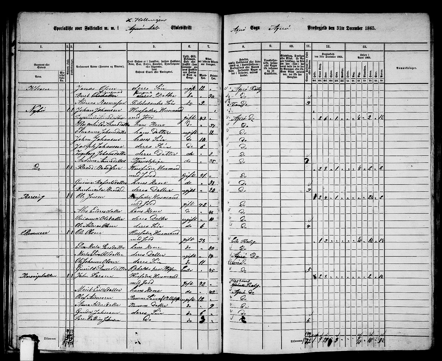 RA, 1865 census for Aukra, 1865, p. 29