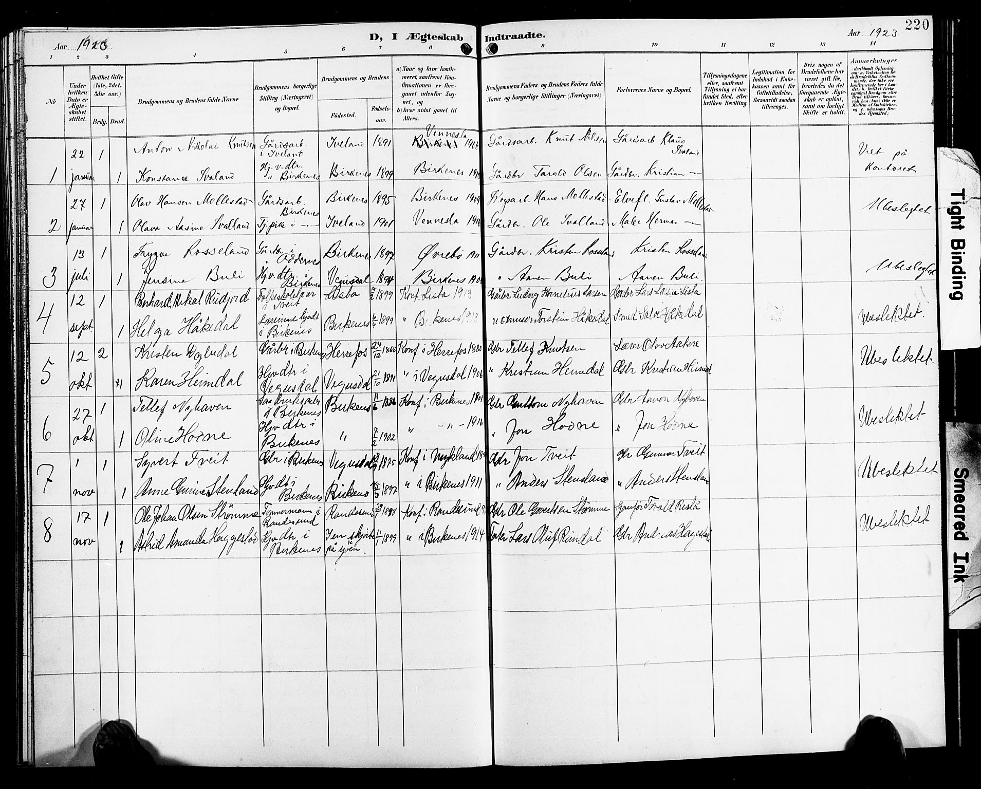 Birkenes sokneprestkontor, SAK/1111-0004/F/Fb/L0004: Parish register (copy) no. B 4, 1893-1930, p. 220