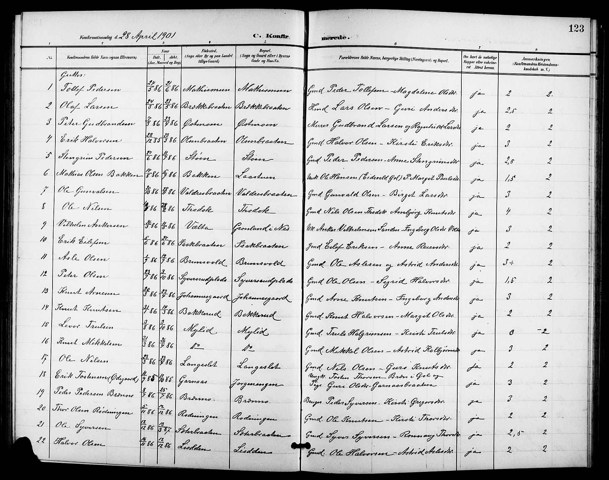 Nes kirkebøker, SAKO/A-236/G/Ga/L0004: Parish register (copy) no. I 4, 1900-1925, p. 123