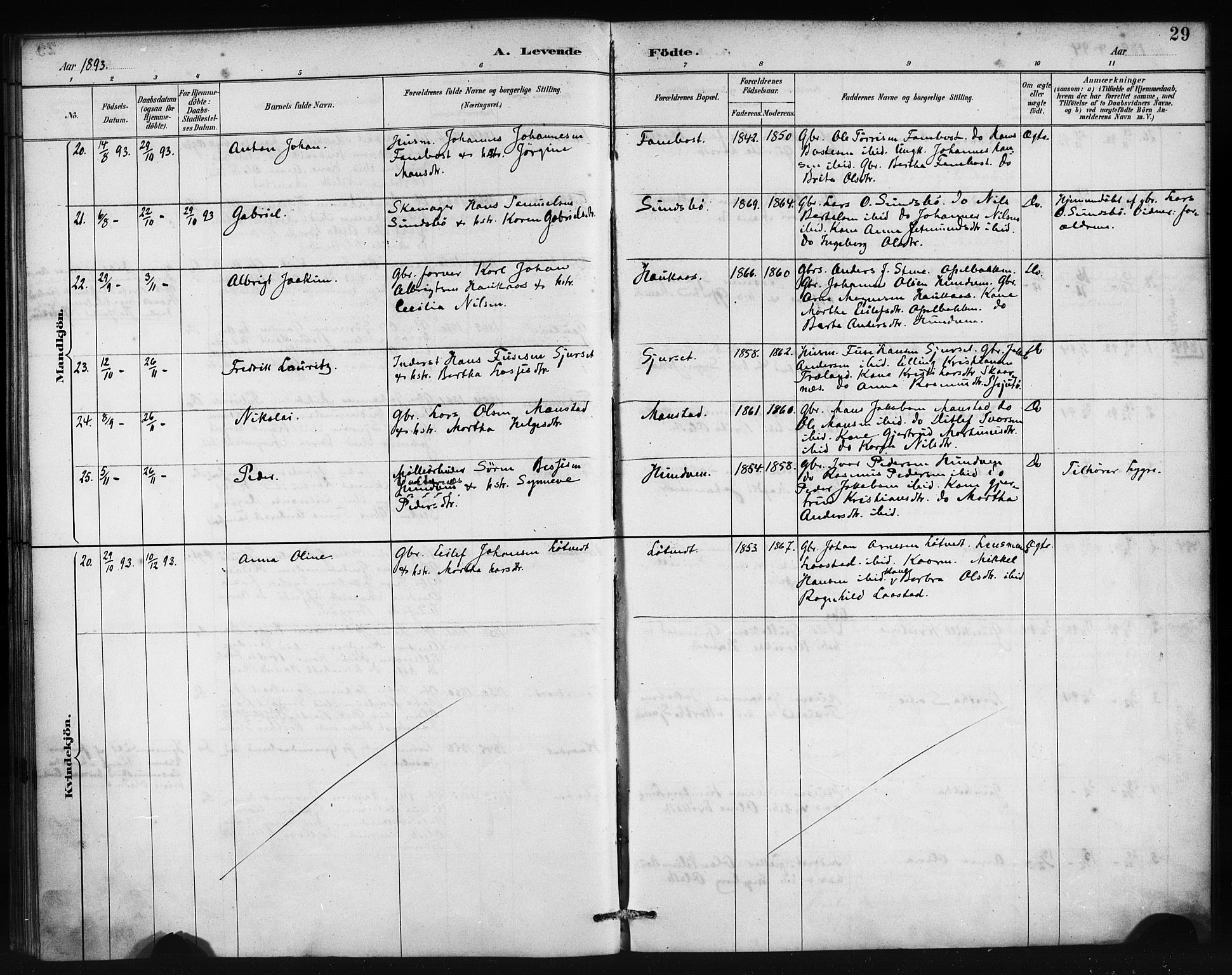 Lindås Sokneprestembete, AV/SAB-A-76701/H/Haa/Haab/L0001: Parish register (official) no. B 1, 1886-1900, p. 29