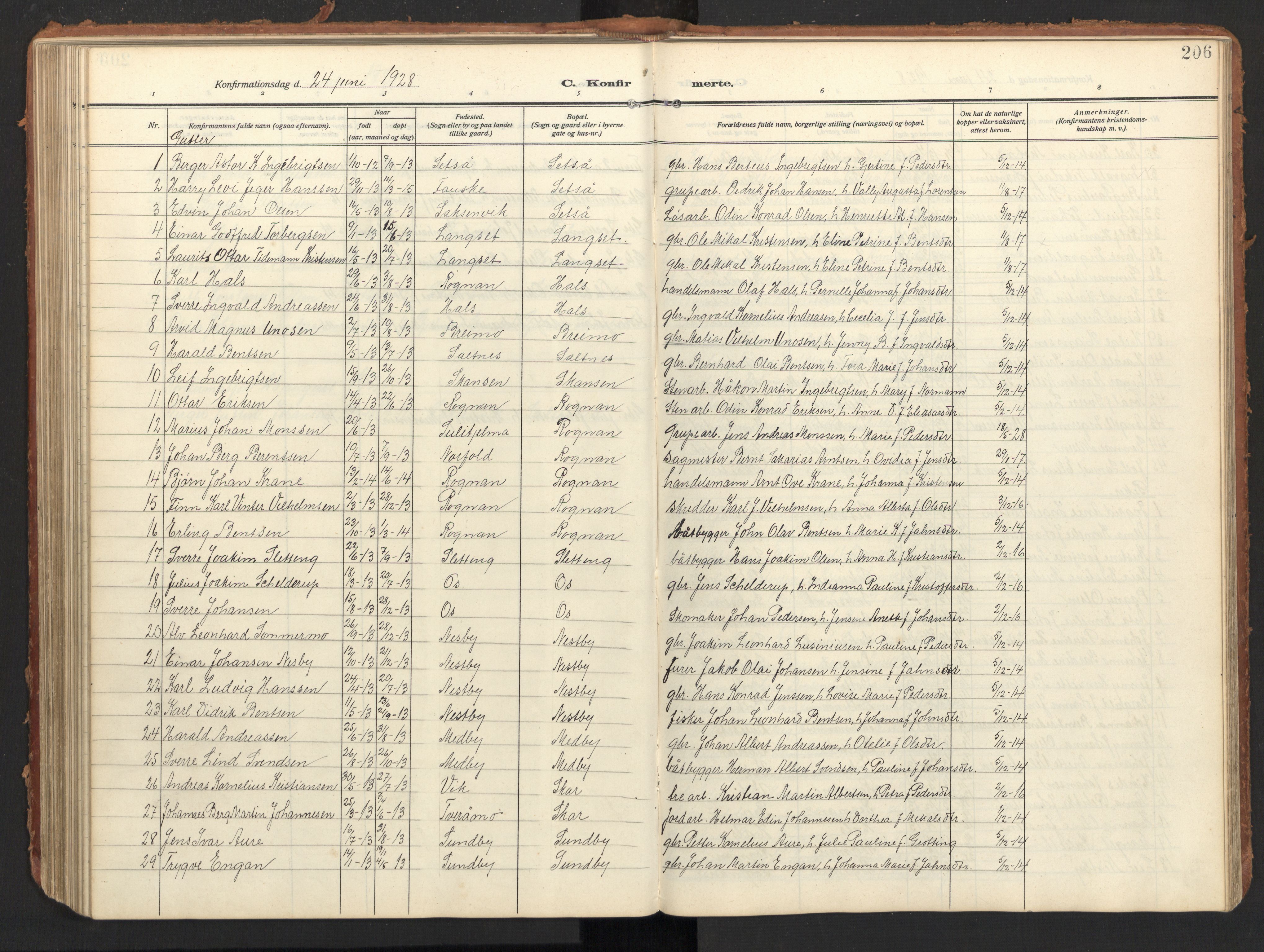 Ministerialprotokoller, klokkerbøker og fødselsregistre - Nordland, SAT/A-1459/847/L0683: Parish register (copy) no. 847C11, 1908-1929, p. 206