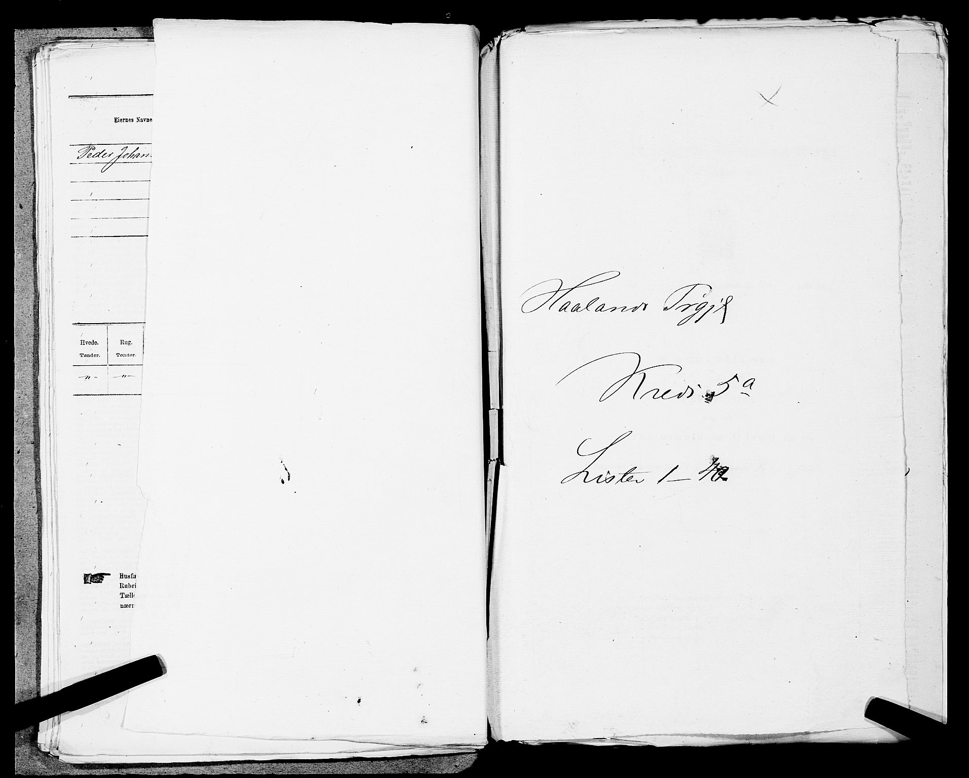SAST, 1875 census for 1124P Håland, 1875, p. 641