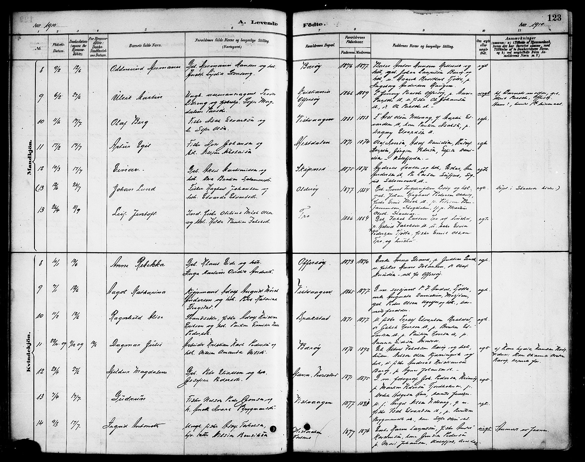 Ministerialprotokoller, klokkerbøker og fødselsregistre - Nordland, AV/SAT-A-1459/817/L0268: Parish register (copy) no. 817C03, 1884-1920, p. 123