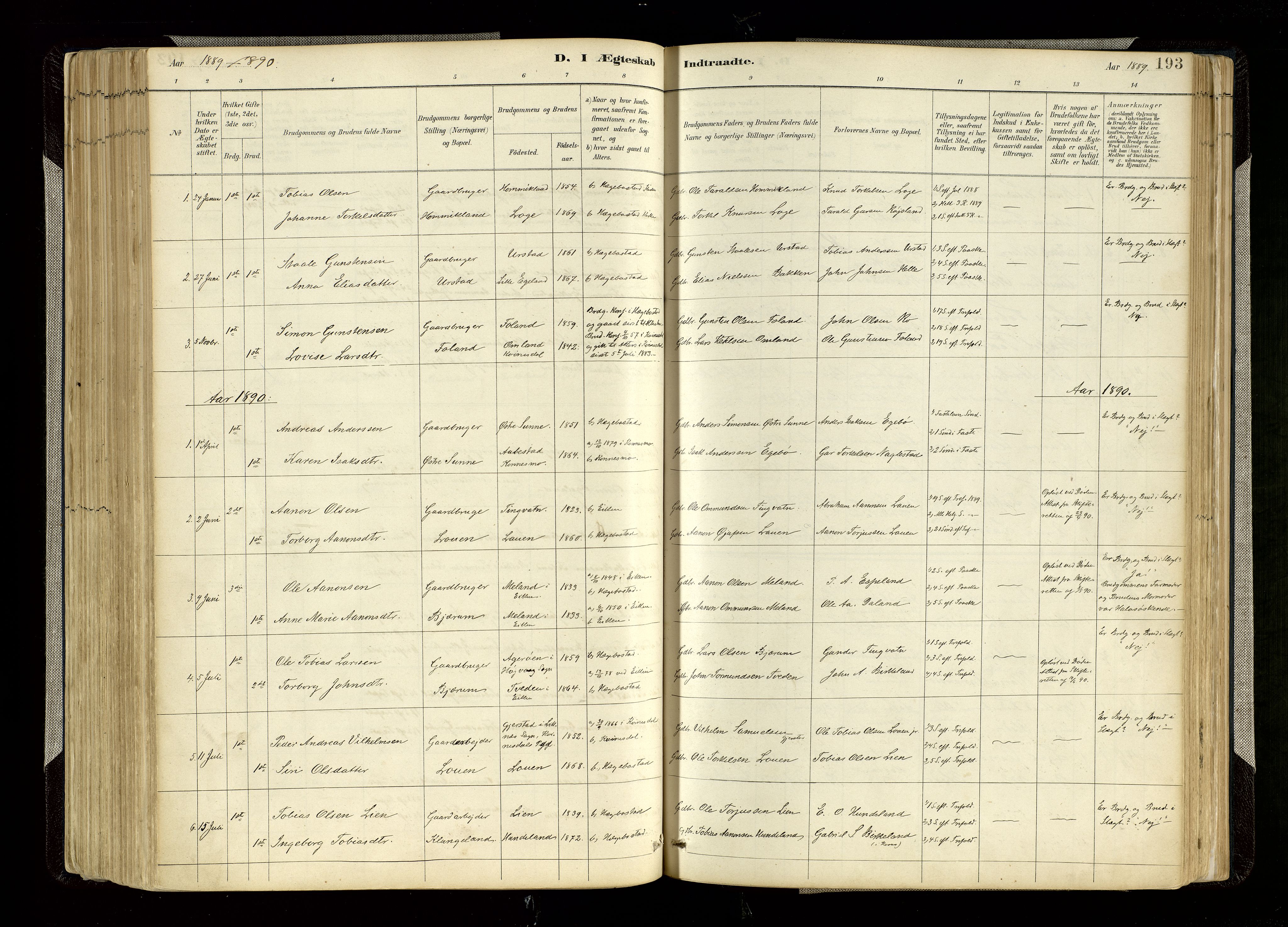 Hægebostad sokneprestkontor, AV/SAK-1111-0024/F/Fa/Faa/L0006: Parish register (official) no. A 6, 1887-1929, p. 193