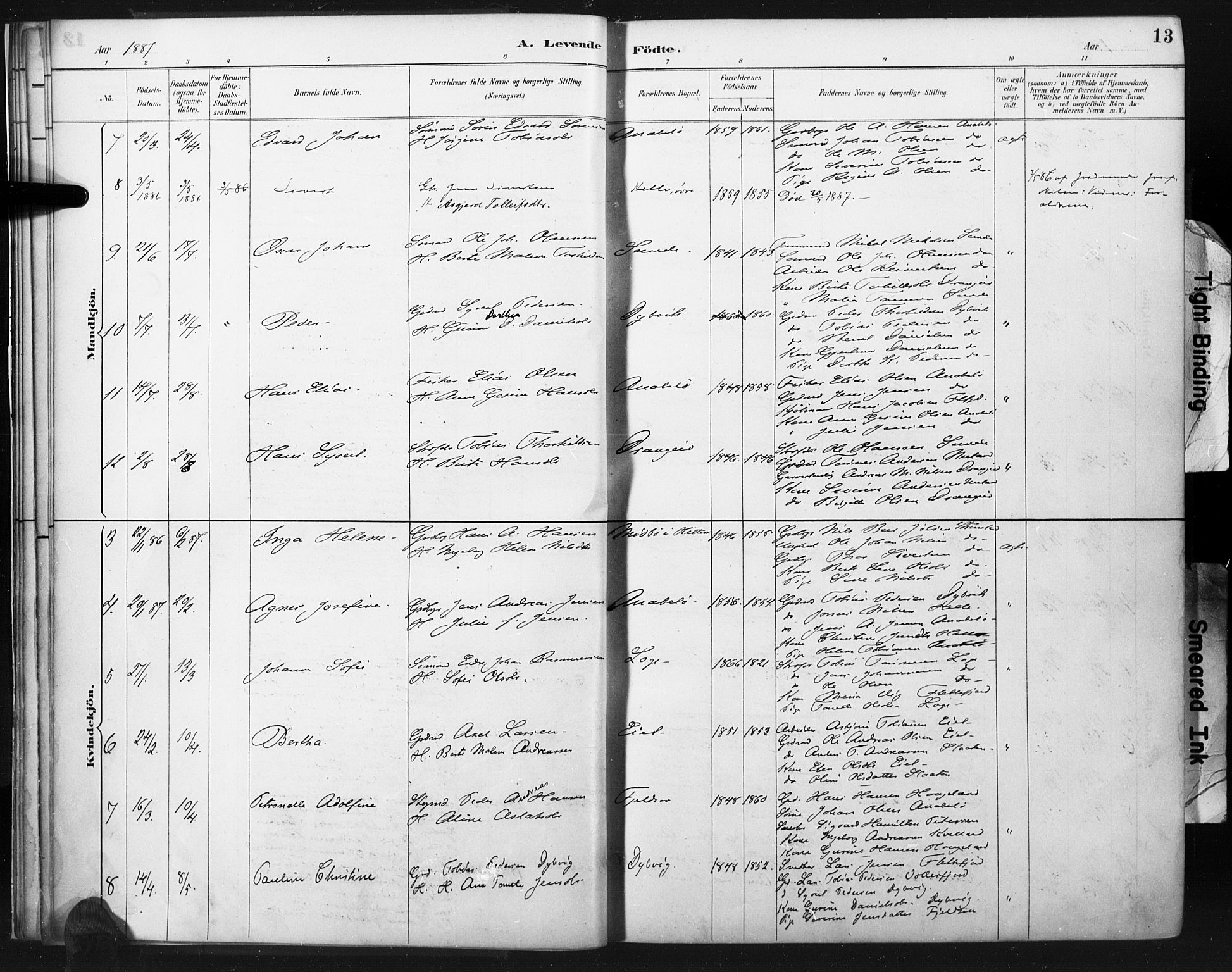 Flekkefjord sokneprestkontor, SAK/1111-0012/F/Fa/Fac/L0008: Parish register (official) no. A 8, 1885-1898, p. 13