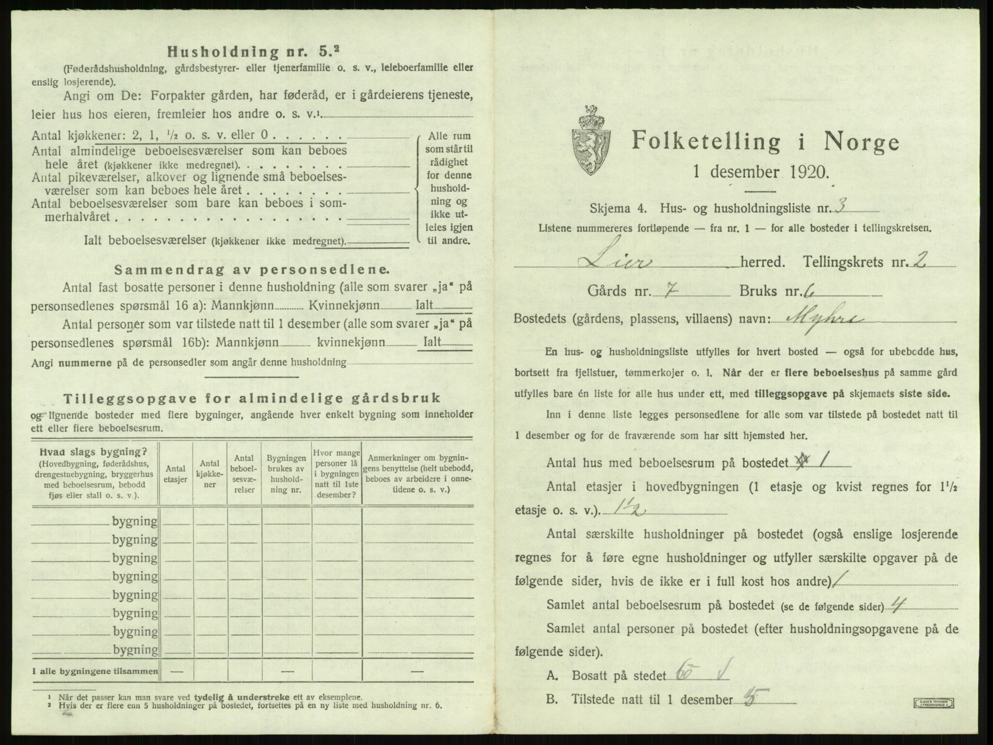 SAKO, 1920 census for Lier, 1920, p. 216