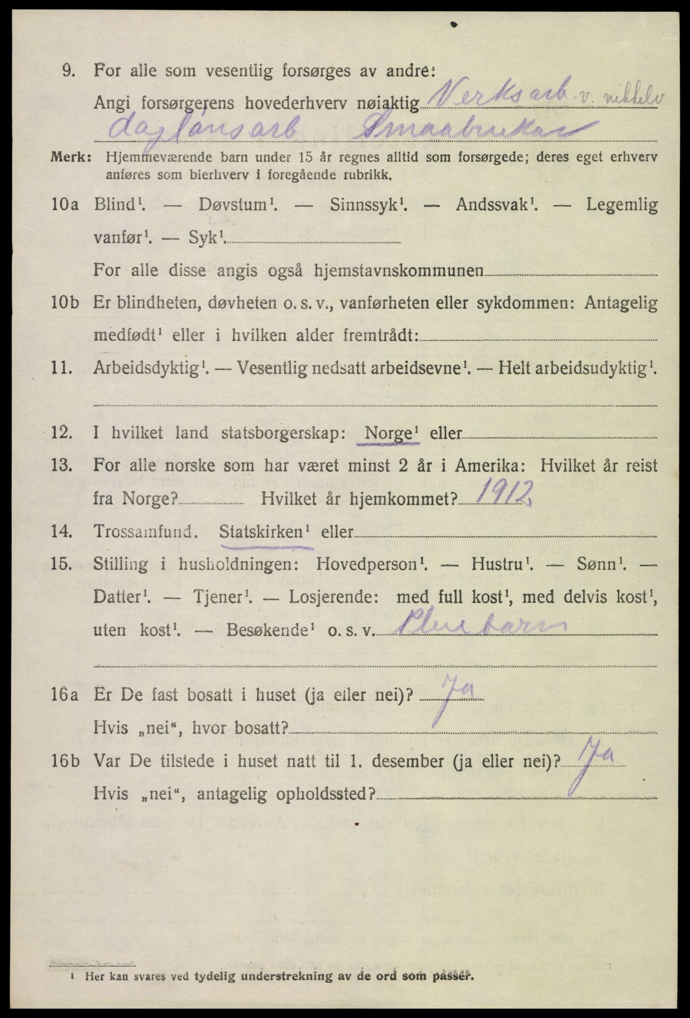SAK, 1920 census for Hornnes, 1920, p. 916