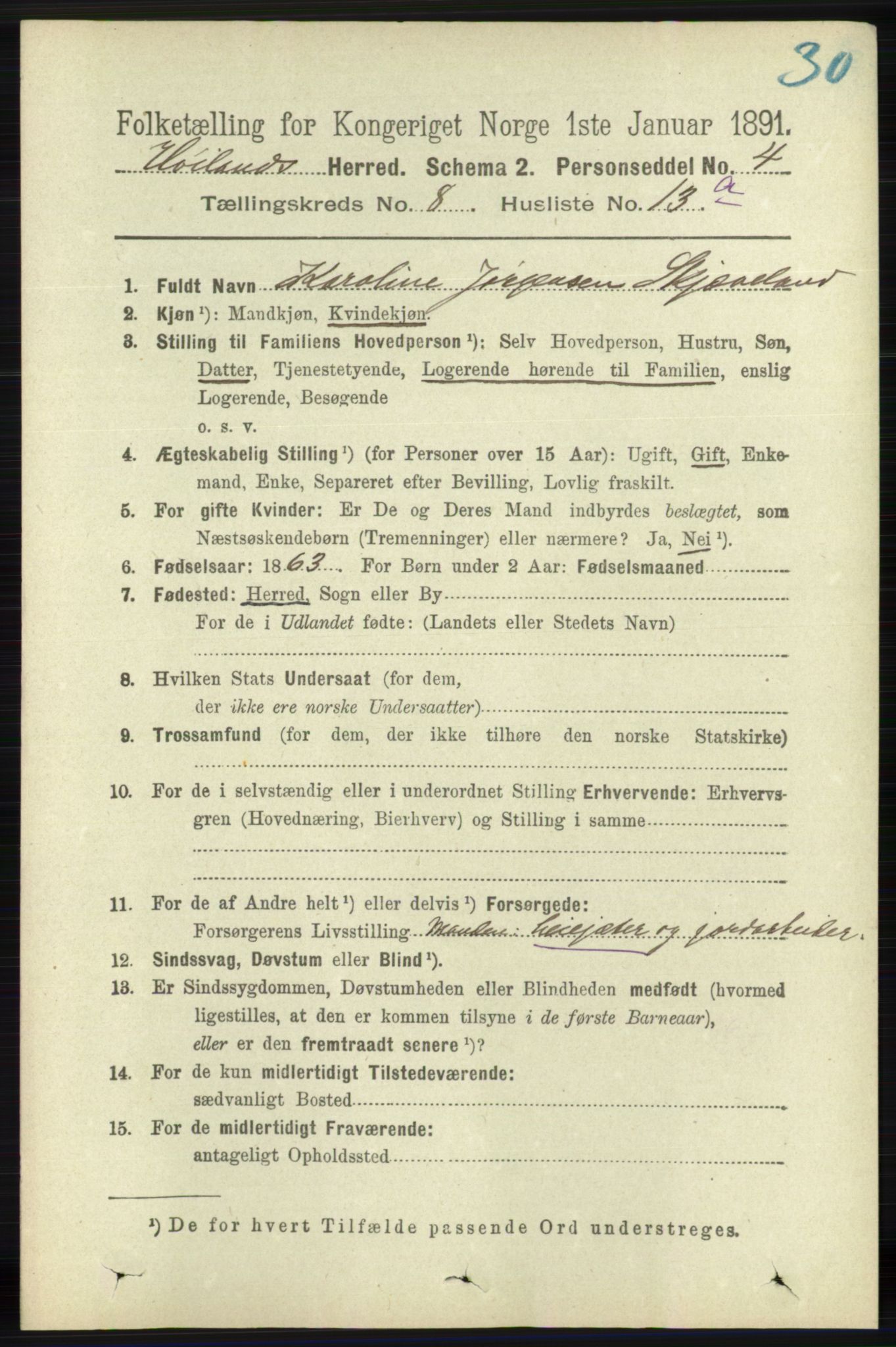 RA, 1891 census for 1123 Høyland, 1891, p. 3044