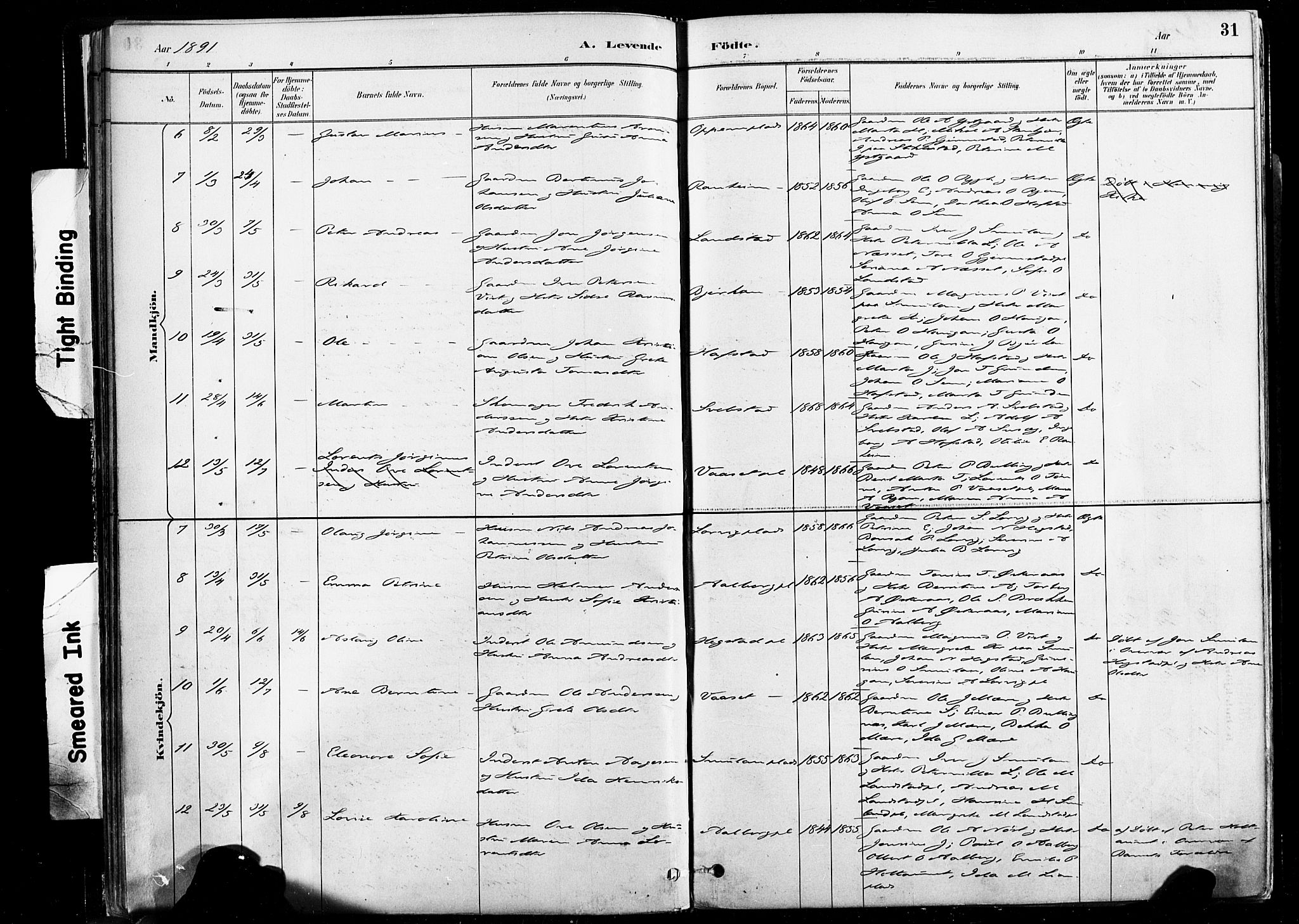 Ministerialprotokoller, klokkerbøker og fødselsregistre - Nord-Trøndelag, AV/SAT-A-1458/735/L0351: Parish register (official) no. 735A10, 1884-1908, p. 31