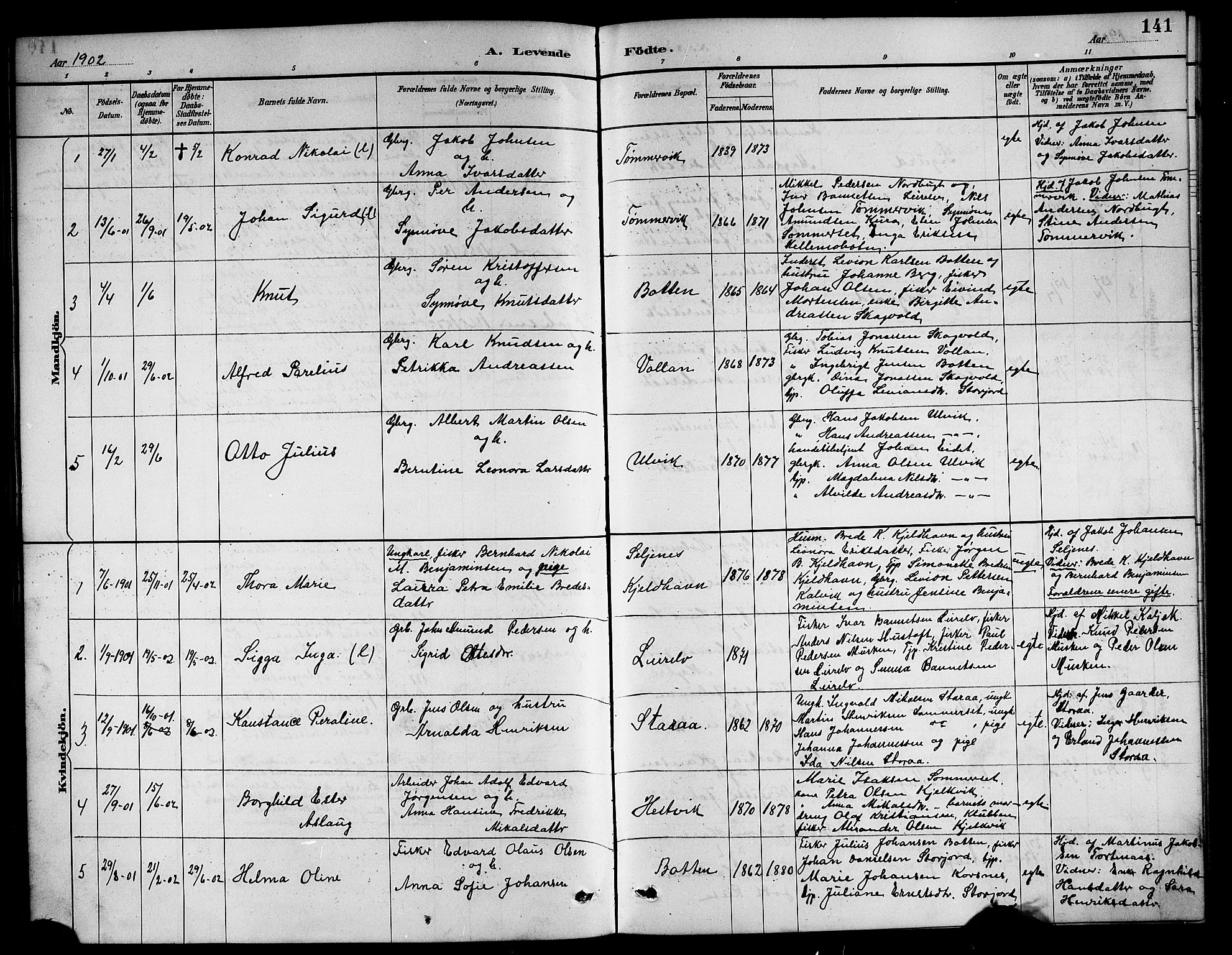 Ministerialprotokoller, klokkerbøker og fødselsregistre - Nordland, AV/SAT-A-1459/861/L0876: Parish register (copy) no. 861C02, 1887-1903, p. 141