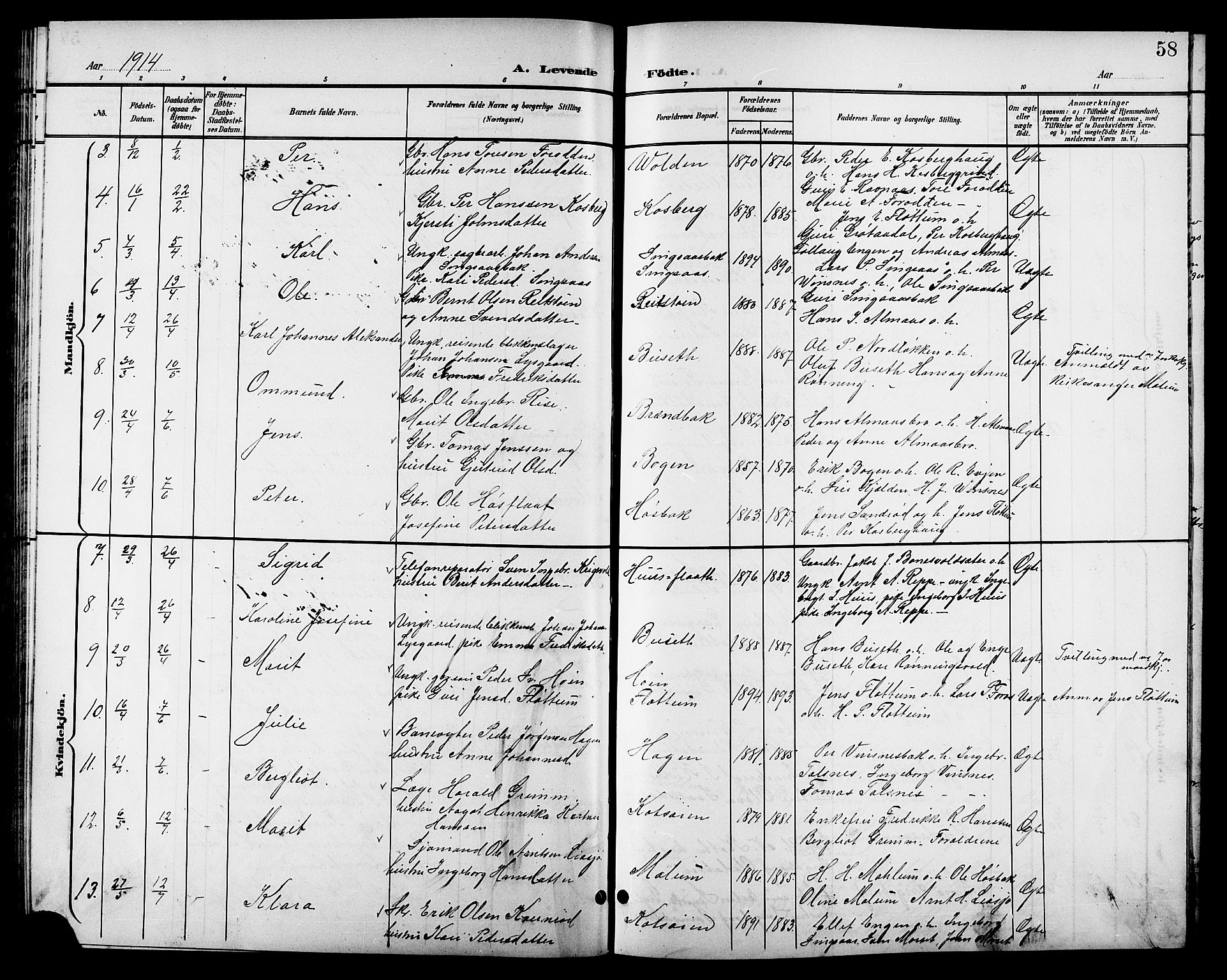 Ministerialprotokoller, klokkerbøker og fødselsregistre - Sør-Trøndelag, SAT/A-1456/688/L1029: Parish register (copy) no. 688C04, 1899-1915, p. 58