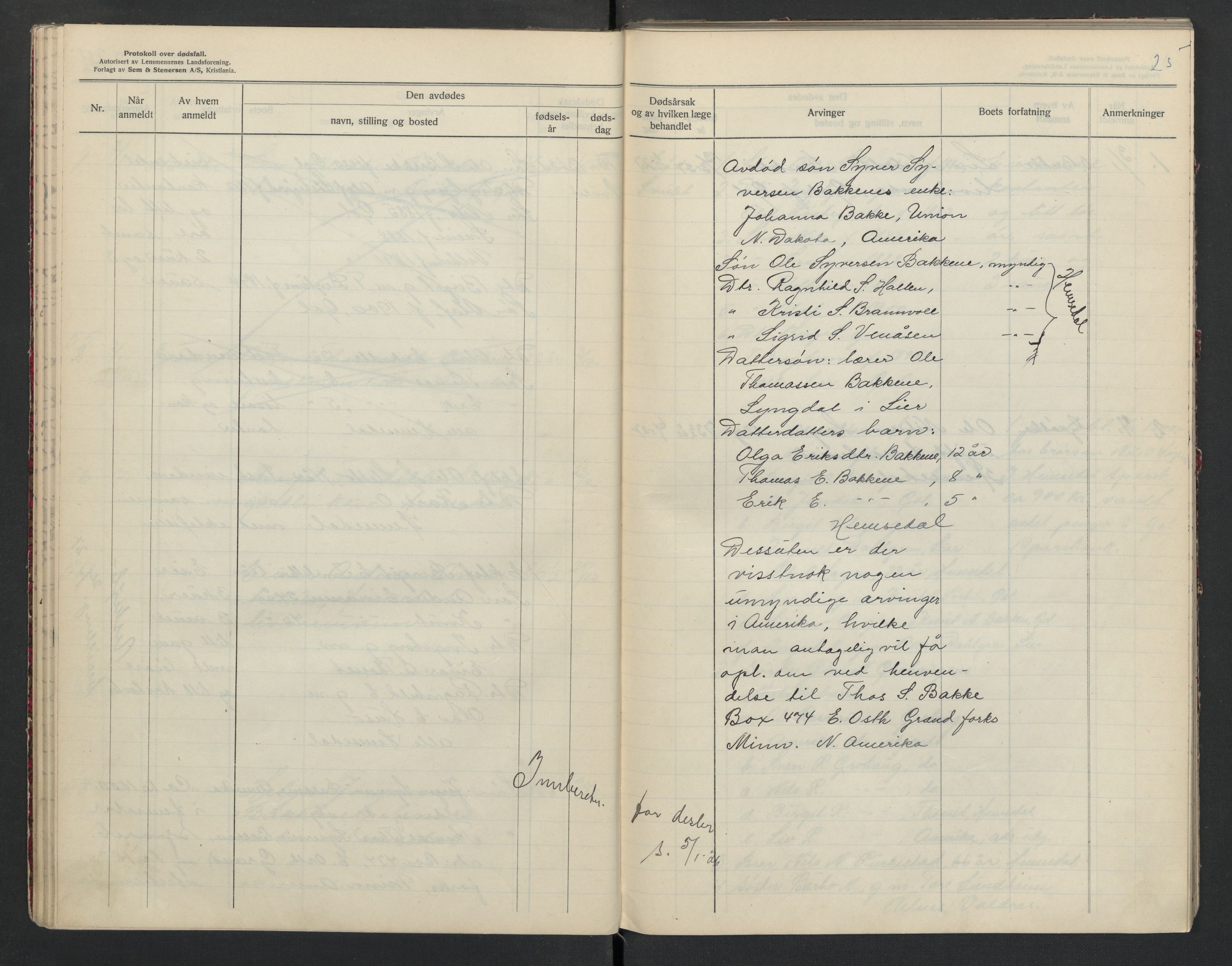 Gol og Hemsedal lensmannskontor, AV/SAKO-A-510/H/Ha/L0001: Dødsfallsprotokoll, 1925-1933, p. 25