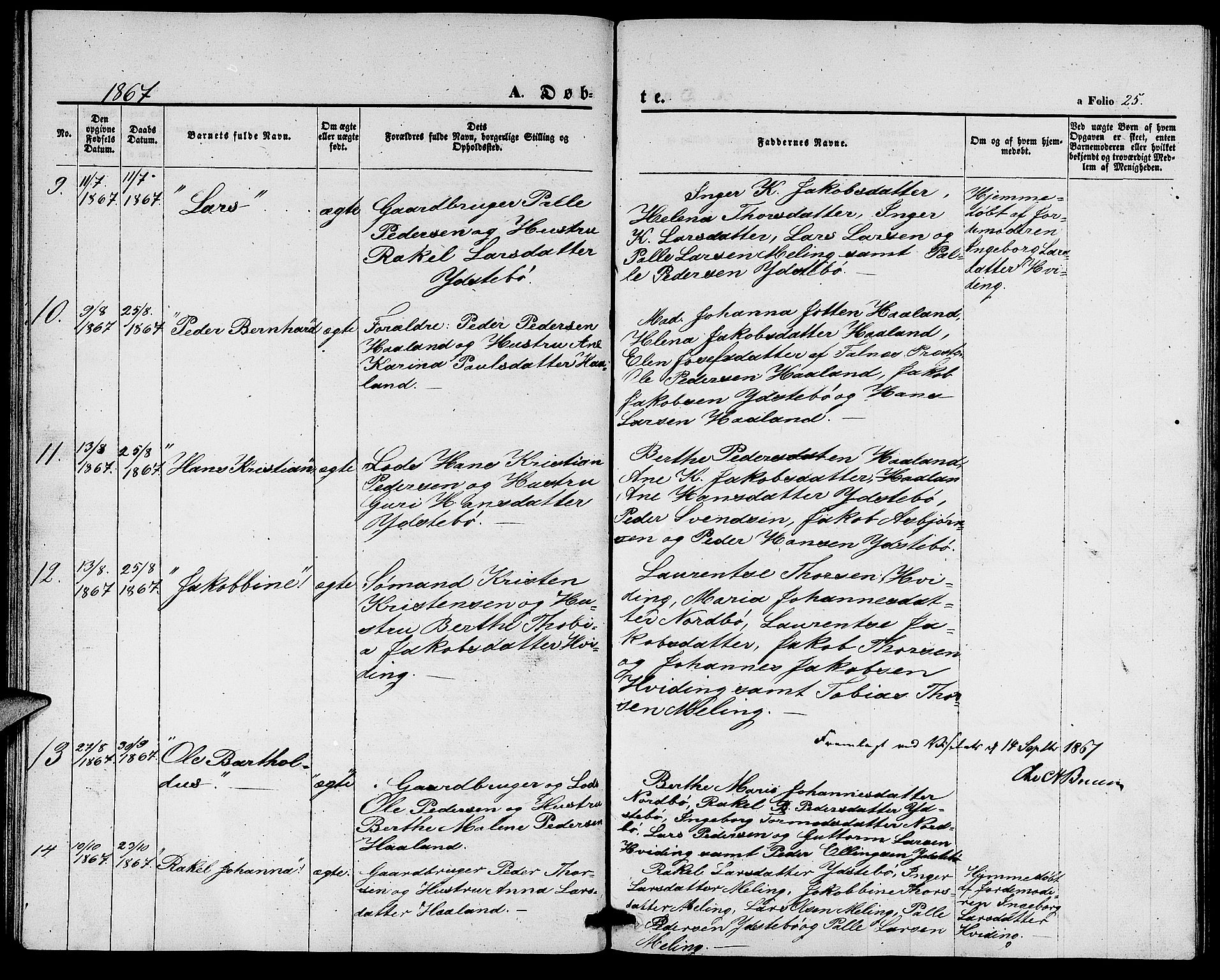 Rennesøy sokneprestkontor, SAST/A -101827/H/Ha/Hab/L0003: Parish register (copy) no. B 3, 1855-1888, p. 25