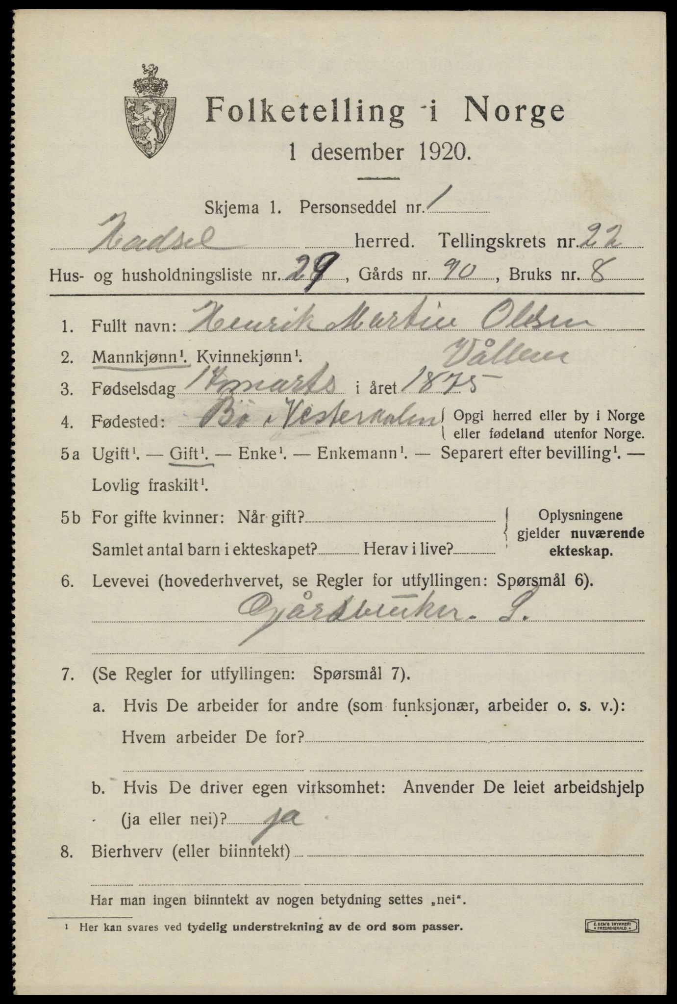 SAT, 1920 census for Hadsel, 1920, p. 20288