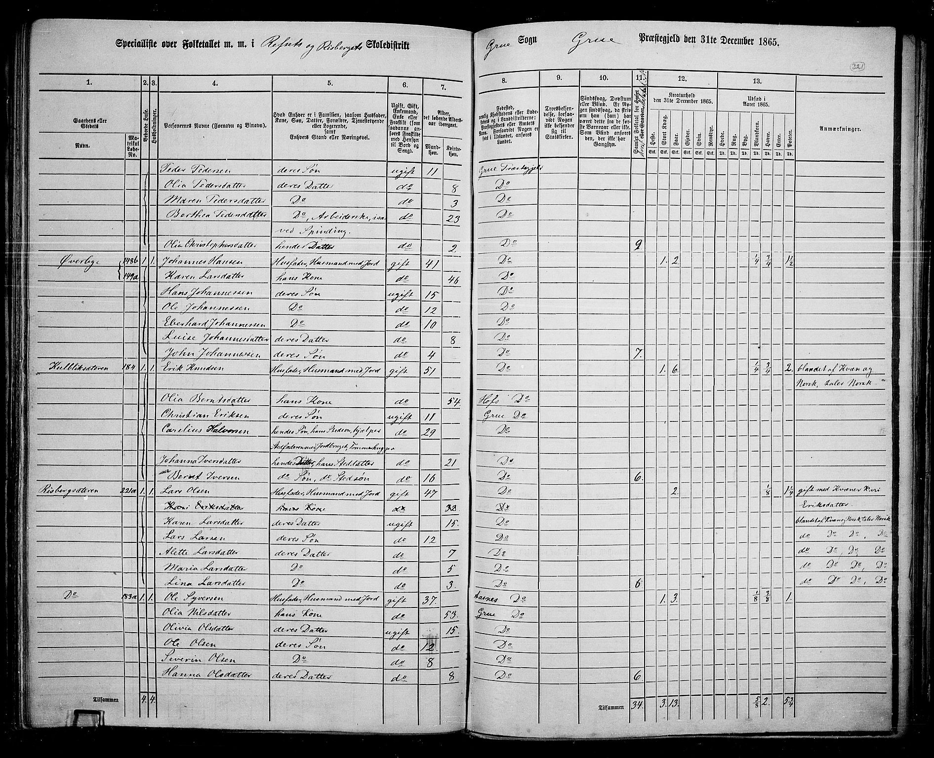 RA, 1865 census for Grue, 1865, p. 284