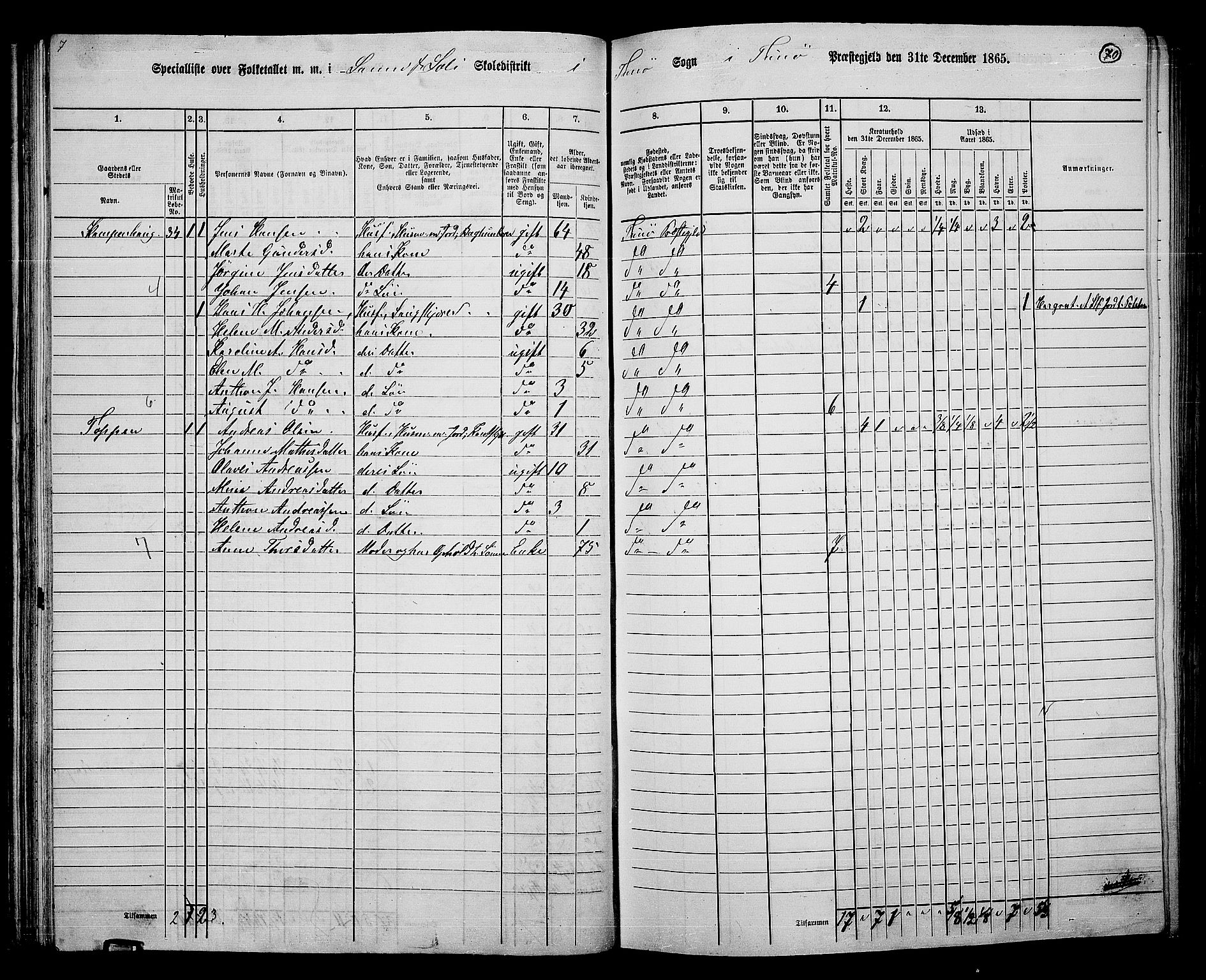 RA, 1865 census for Tune, 1865, p. 66