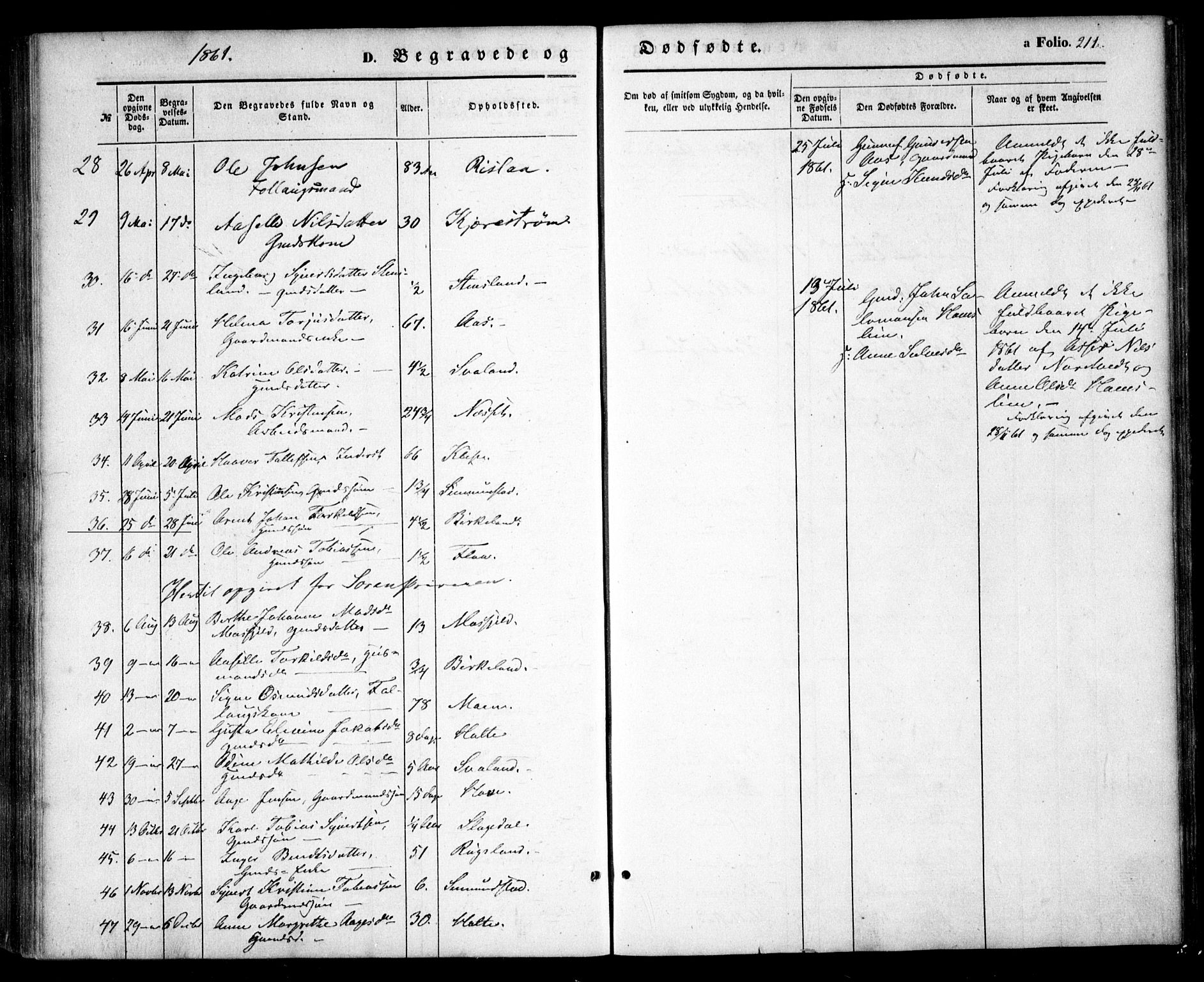 Birkenes sokneprestkontor, AV/SAK-1111-0004/F/Fa/L0003: Parish register (official) no. A 3, 1850-1866, p. 211