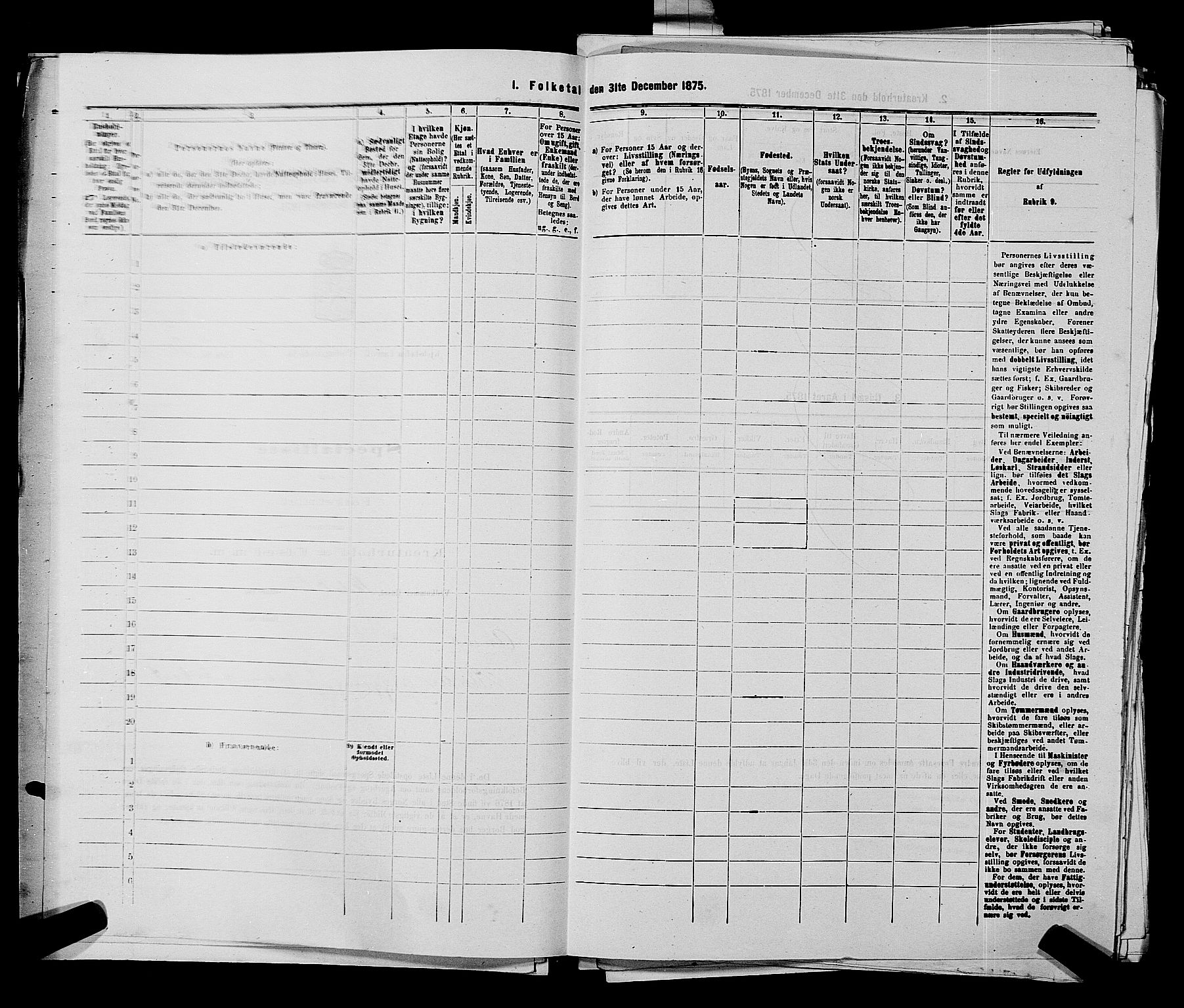 SAKO, 1875 census for 0707P Larvik, 1875, p. 555