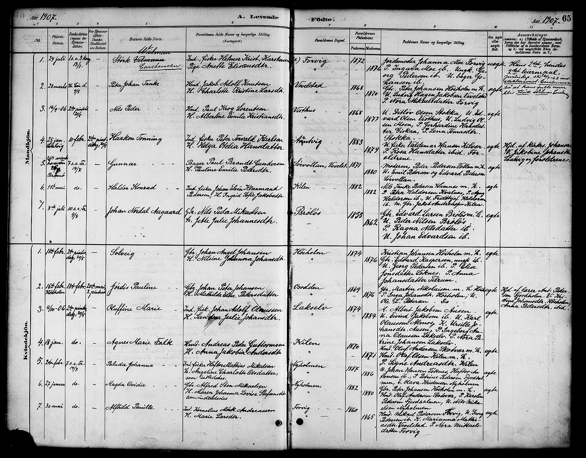 Ministerialprotokoller, klokkerbøker og fødselsregistre - Nordland, AV/SAT-A-1459/819/L0277: Parish register (copy) no. 819C03, 1888-1917, p. 65