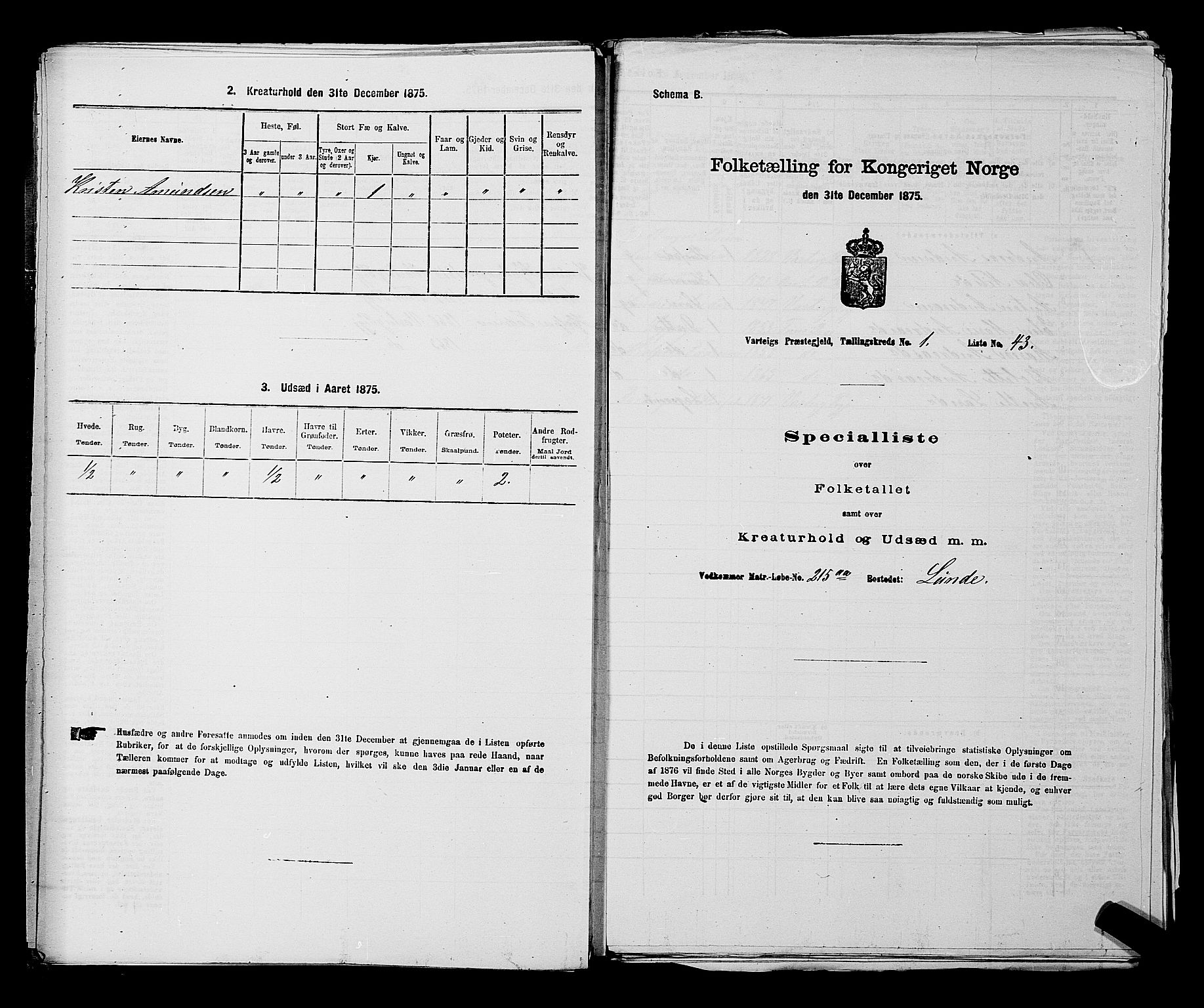 RA, 1875 census for 0114P Varteig, 1875, p. 107