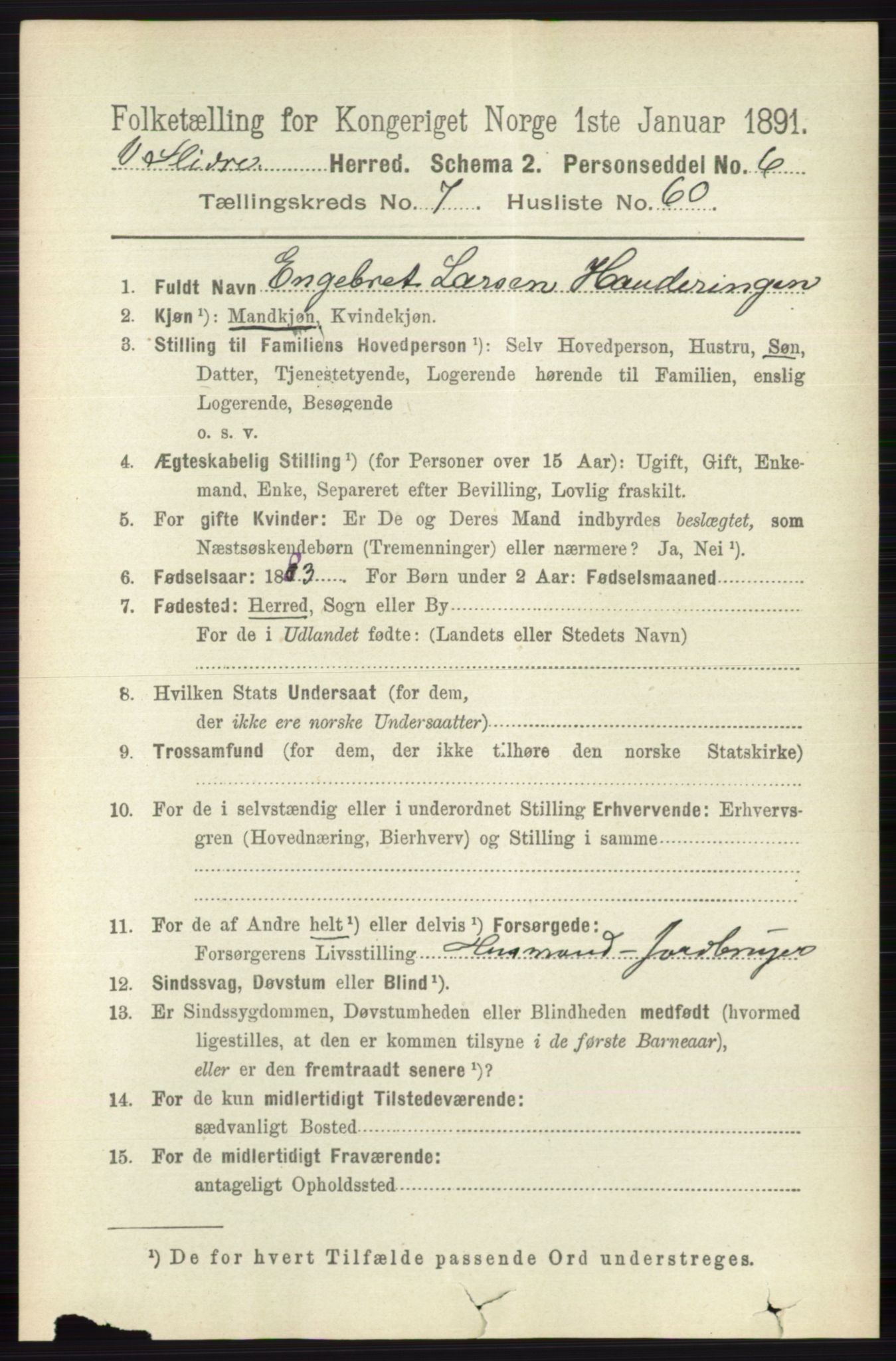 RA, 1891 census for 0543 Vestre Slidre, 1891, p. 2924