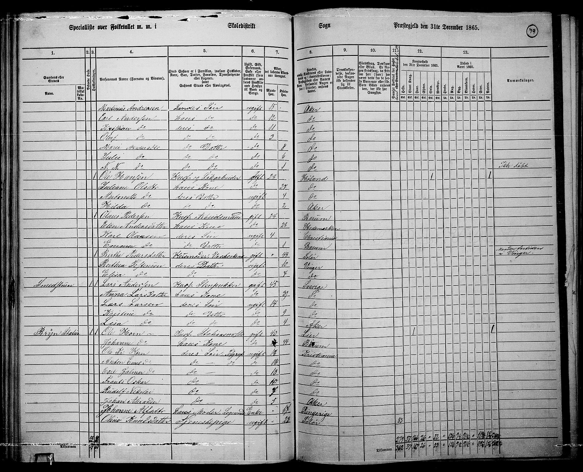 RA, 1865 census for Østre Aker, 1865, p. 303