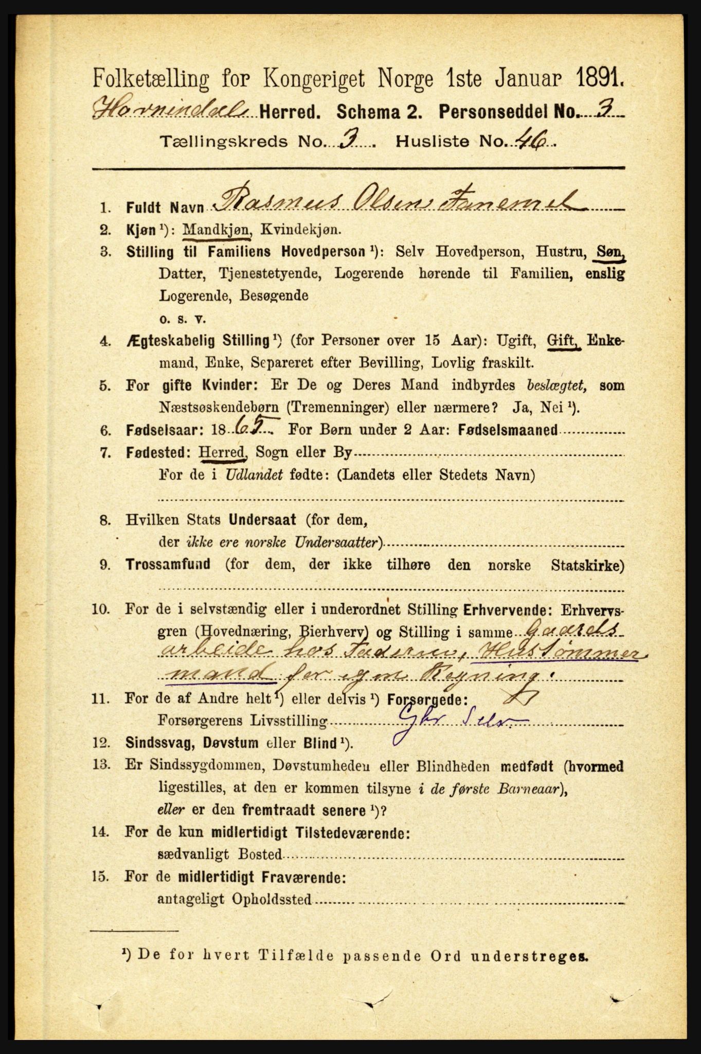 RA, 1891 census for 1444 Hornindal, 1891, p. 808