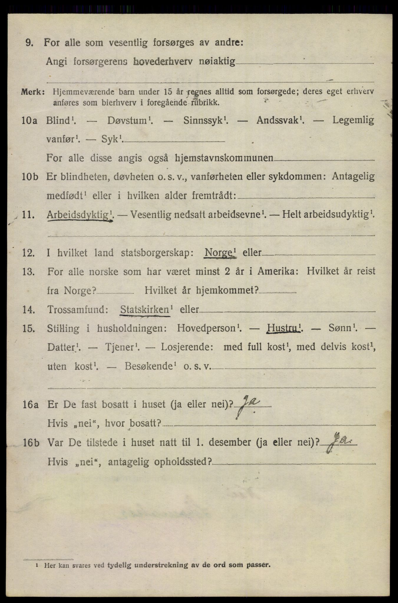 SAKO, 1920 census for Nes (Buskerud), 1920, p. 5007