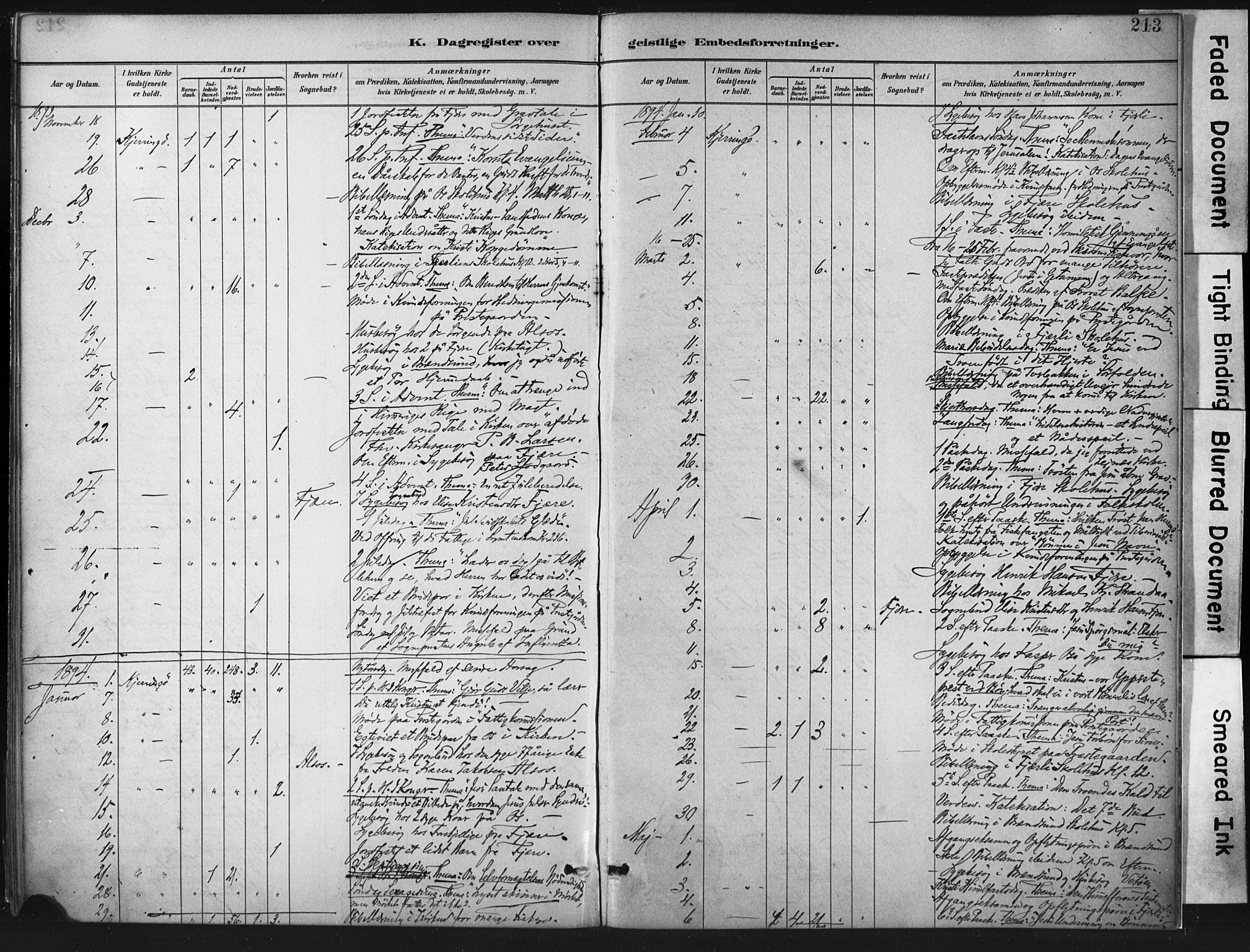 Ministerialprotokoller, klokkerbøker og fødselsregistre - Nordland, SAT/A-1459/803/L0071: Parish register (official) no. 803A01, 1881-1897, p. 213