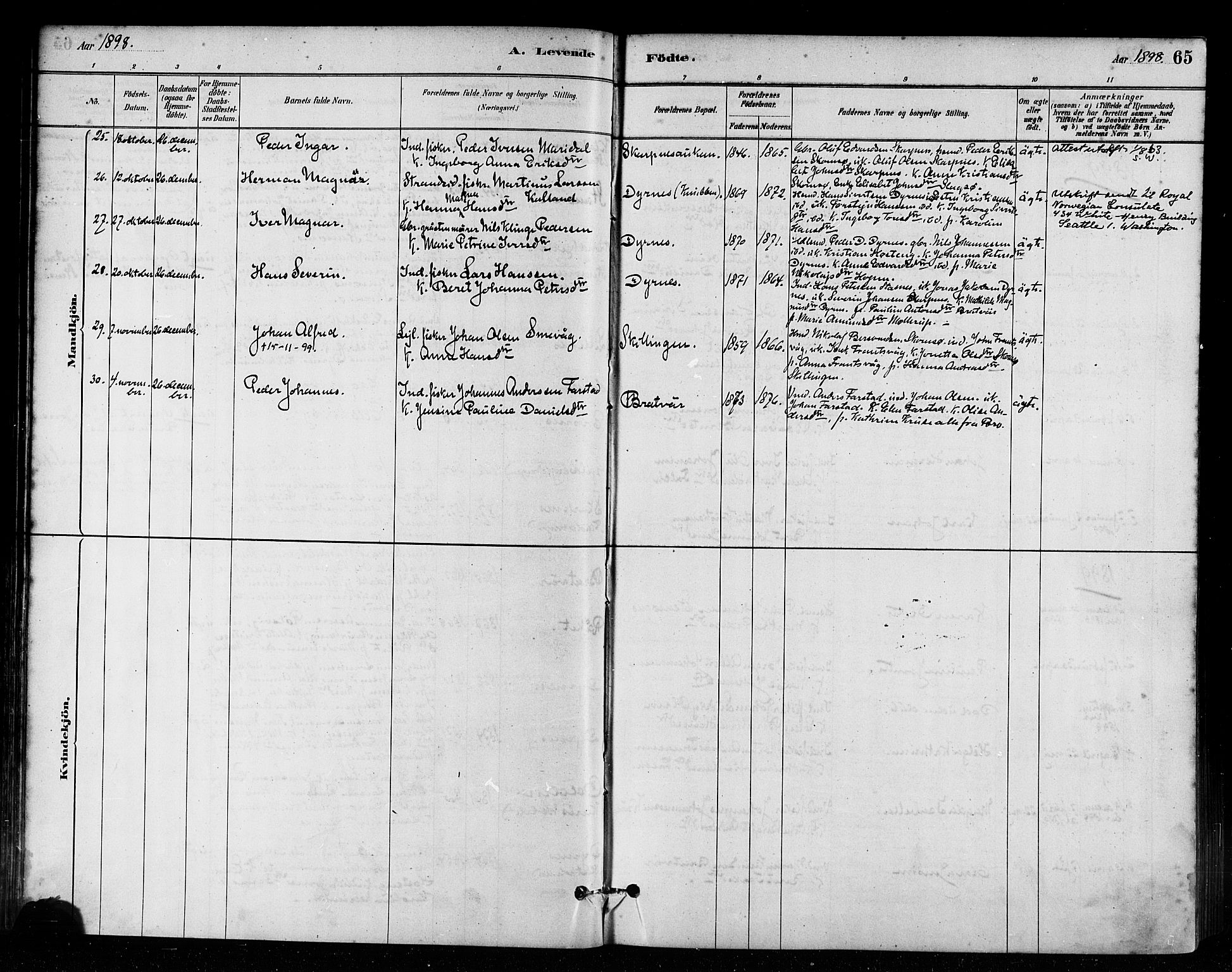 Ministerialprotokoller, klokkerbøker og fødselsregistre - Møre og Romsdal, SAT/A-1454/582/L0947: Parish register (official) no. 582A01, 1880-1900, p. 65