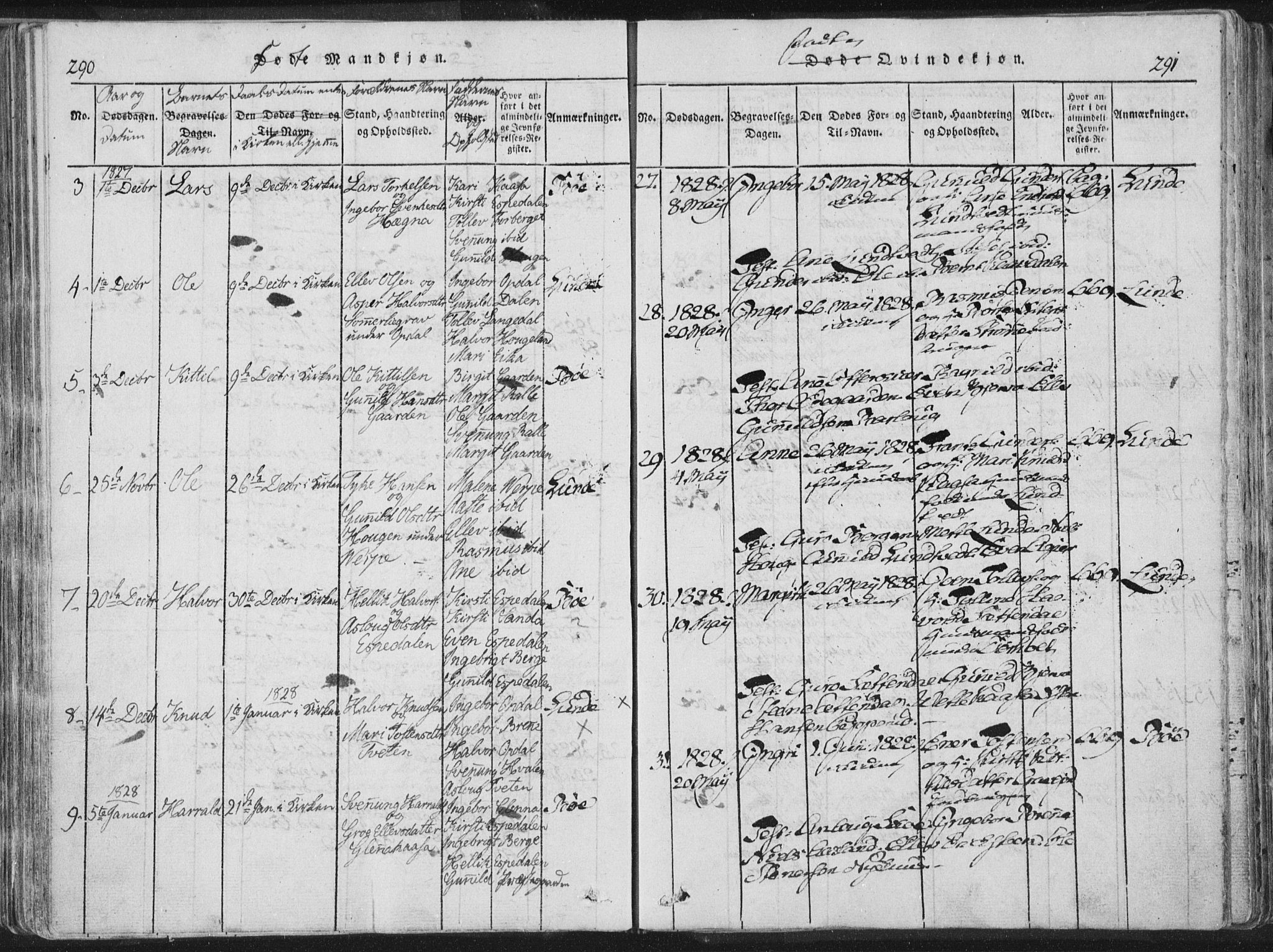 Bø kirkebøker, SAKO/A-257/F/Fa/L0006: Parish register (official) no. 6, 1815-1831, p. 290-291
