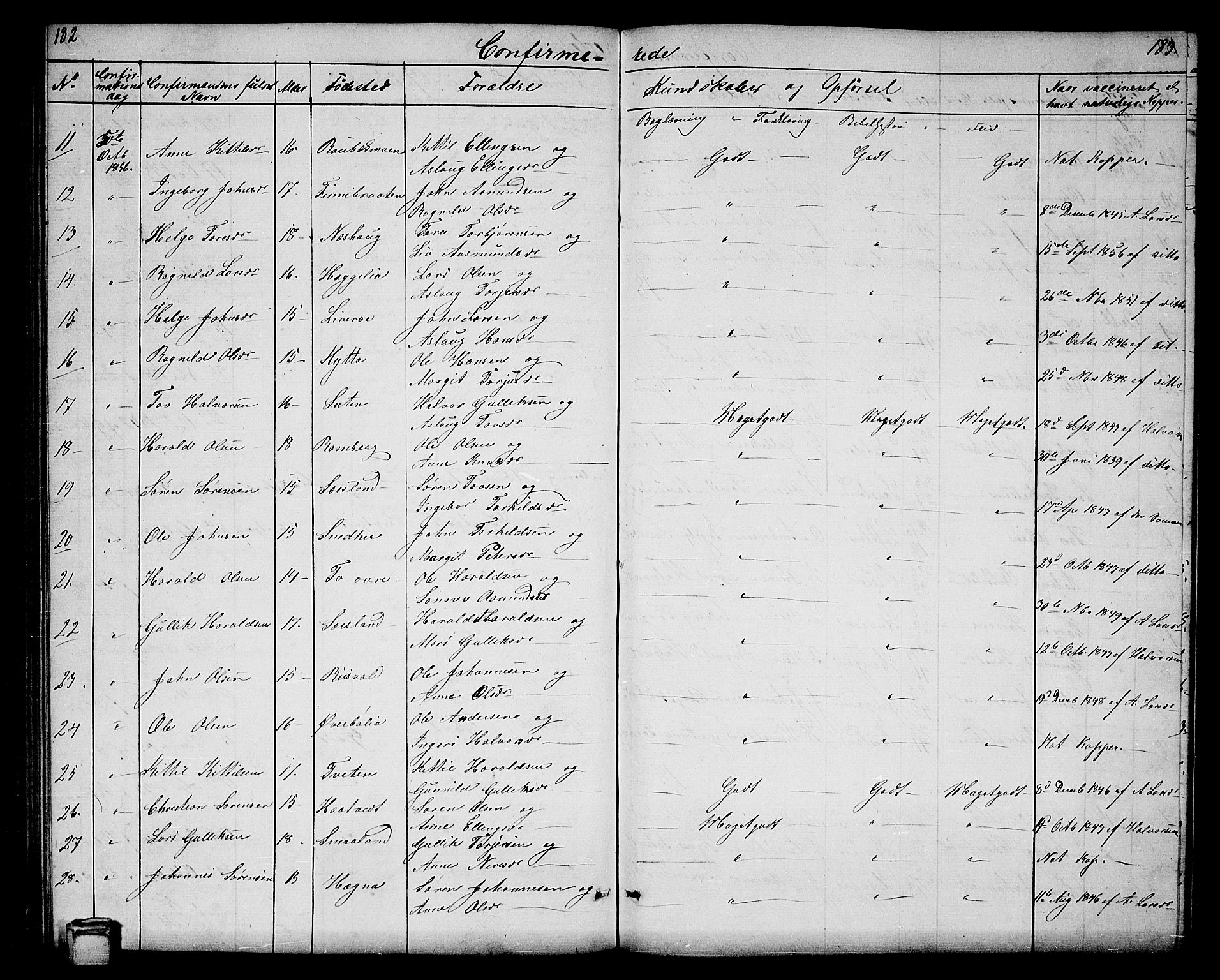 Hjartdal kirkebøker, SAKO/A-270/G/Ga/L0002: Parish register (copy) no. I 2, 1854-1888, p. 182-183