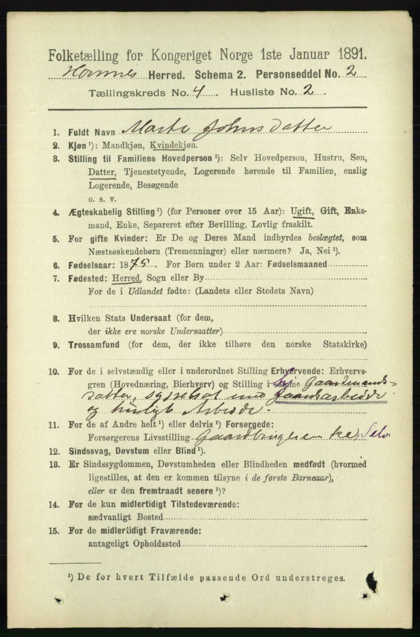 RA, 1891 census for 0936 Hornnes, 1891, p. 1059