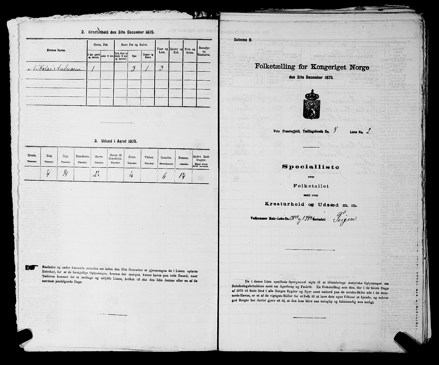 RA, 1875 census for 0227P Fet, 1875, p. 1153