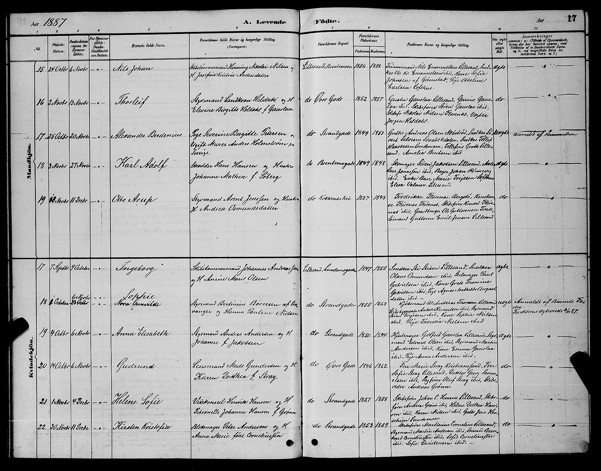 Vestre Moland sokneprestkontor, AV/SAK-1111-0046/F/Fb/Fba/L0001: Parish register (copy) no. B 1, 1884-1903, p. 17