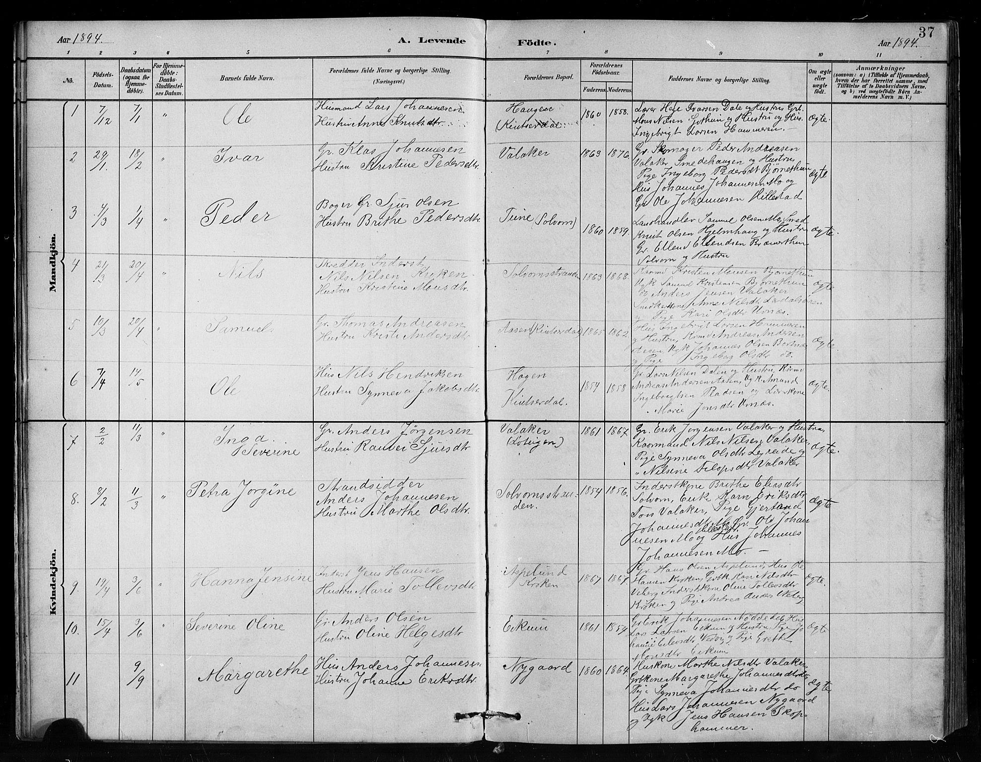 Hafslo sokneprestembete, AV/SAB-A-80301/H/Hab/Habc/L0001: Parish register (copy) no. C 1, 1882-1908, p. 37