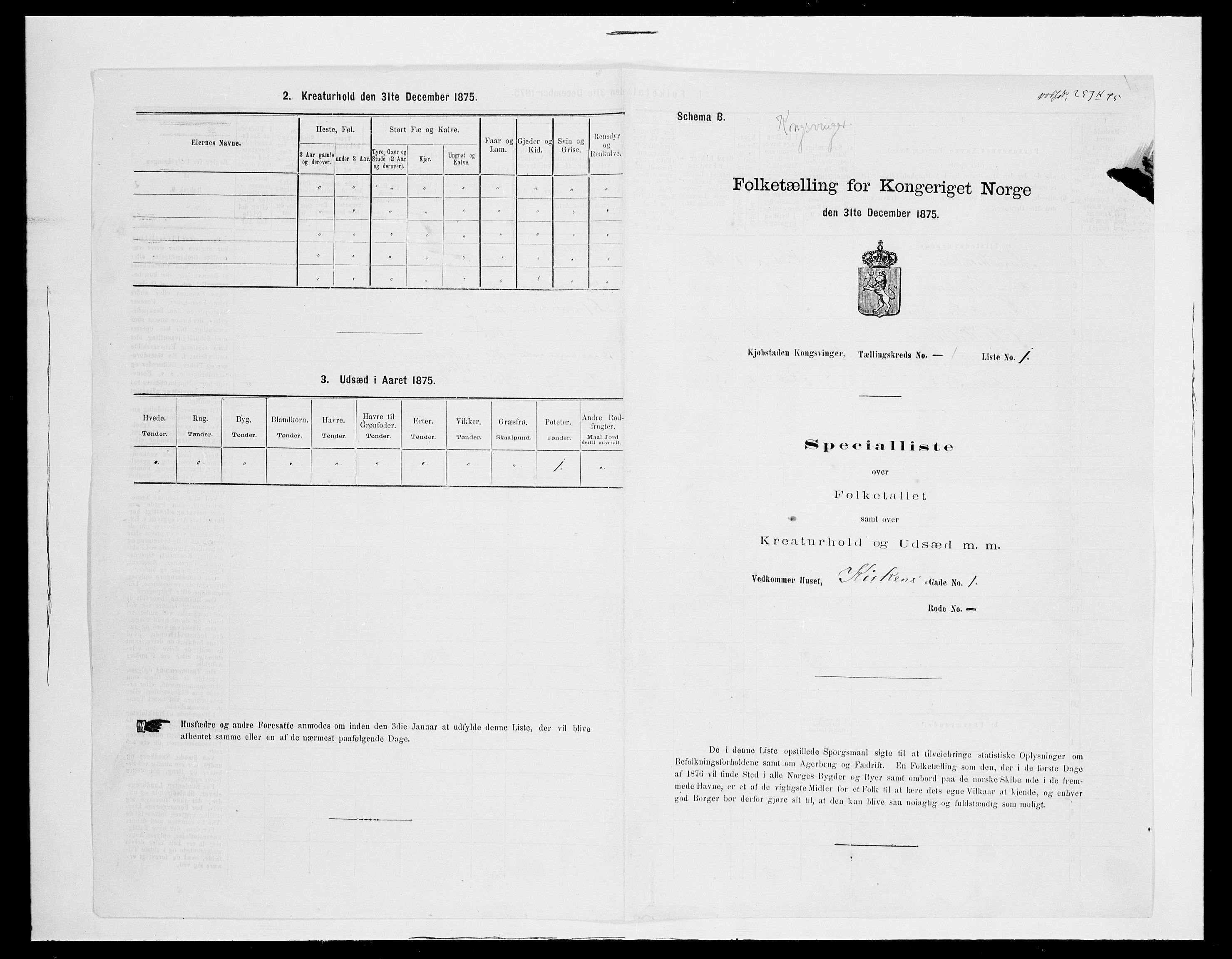 SAH, 1875 census for 0402B Vinger/Kongsvinger, 1875, p. 10