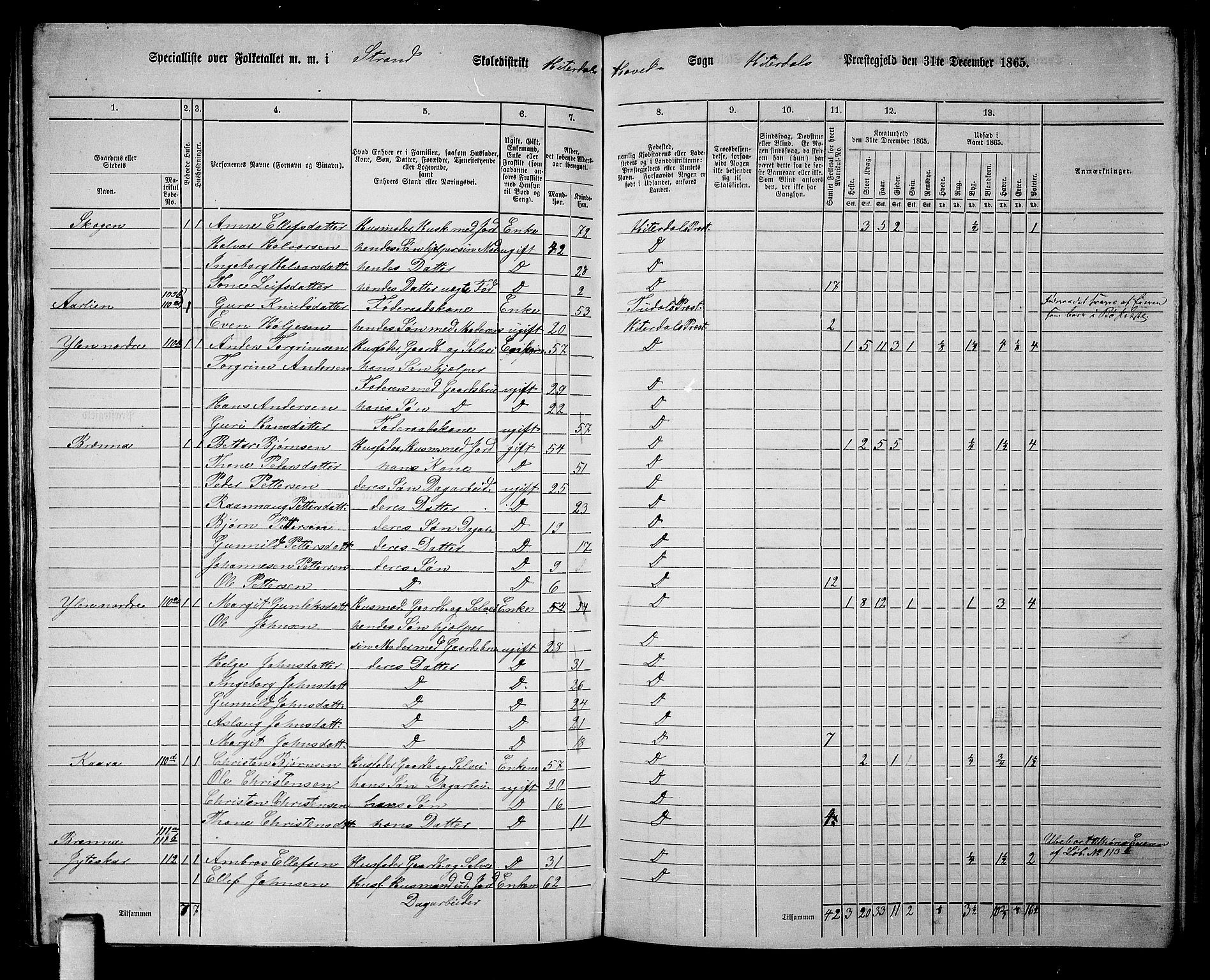 RA, 1865 census for Heddal, 1865, p. 100