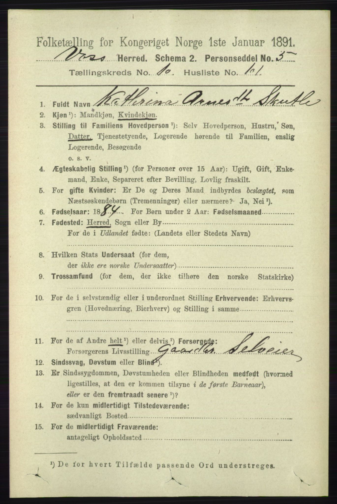 RA, 1891 census for 1235 Voss, 1891, p. 5710